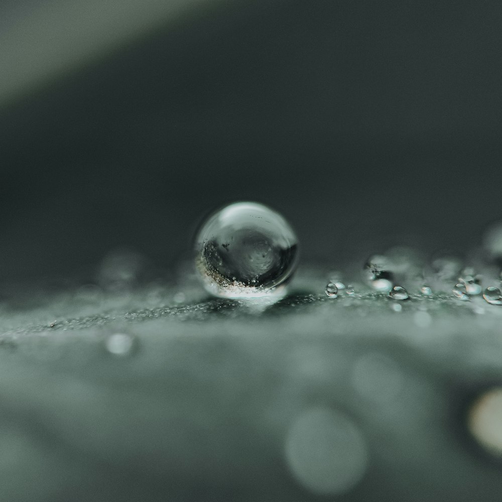 a drop of water on a surface