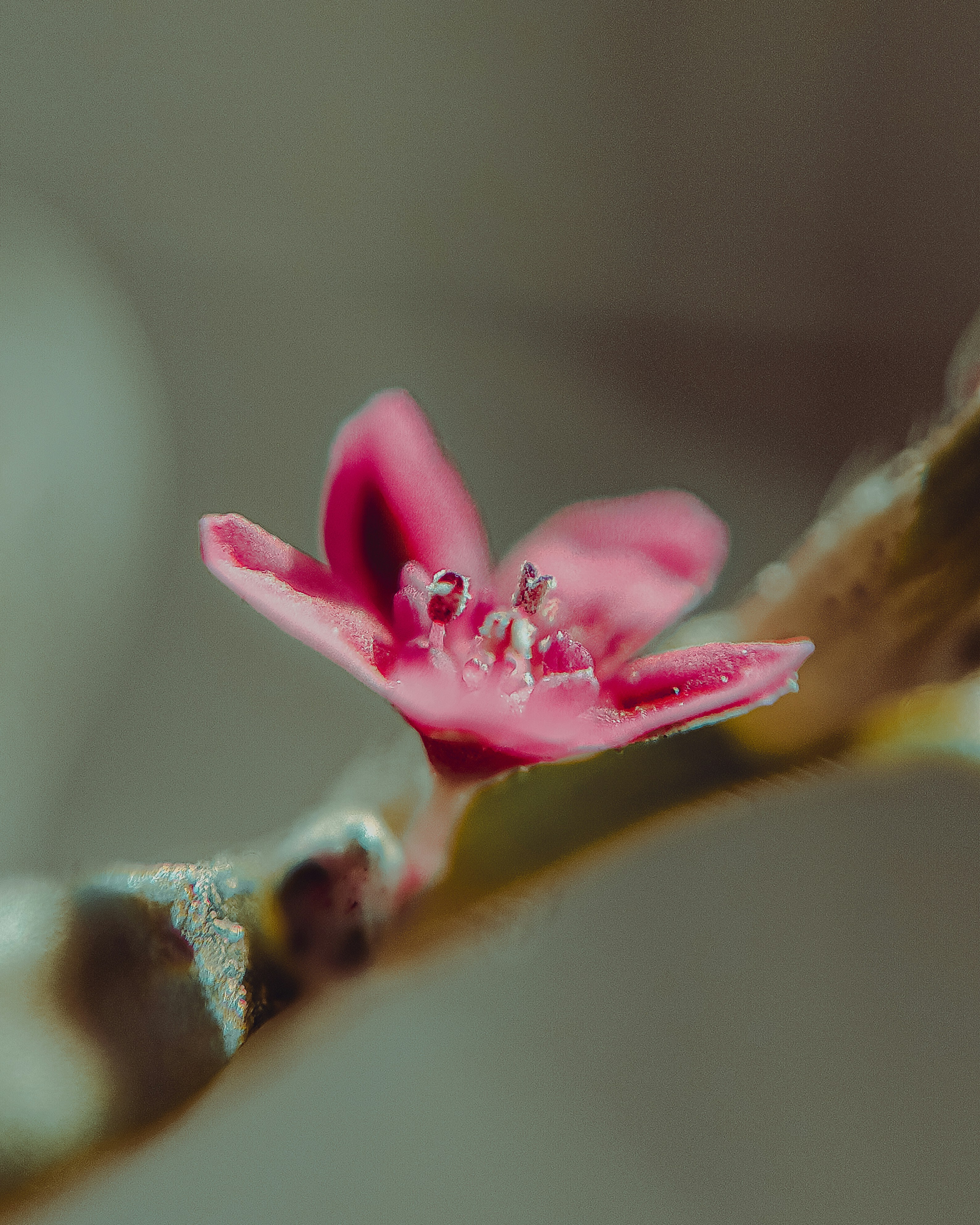 Photo by brajendra_lens_a_lot_