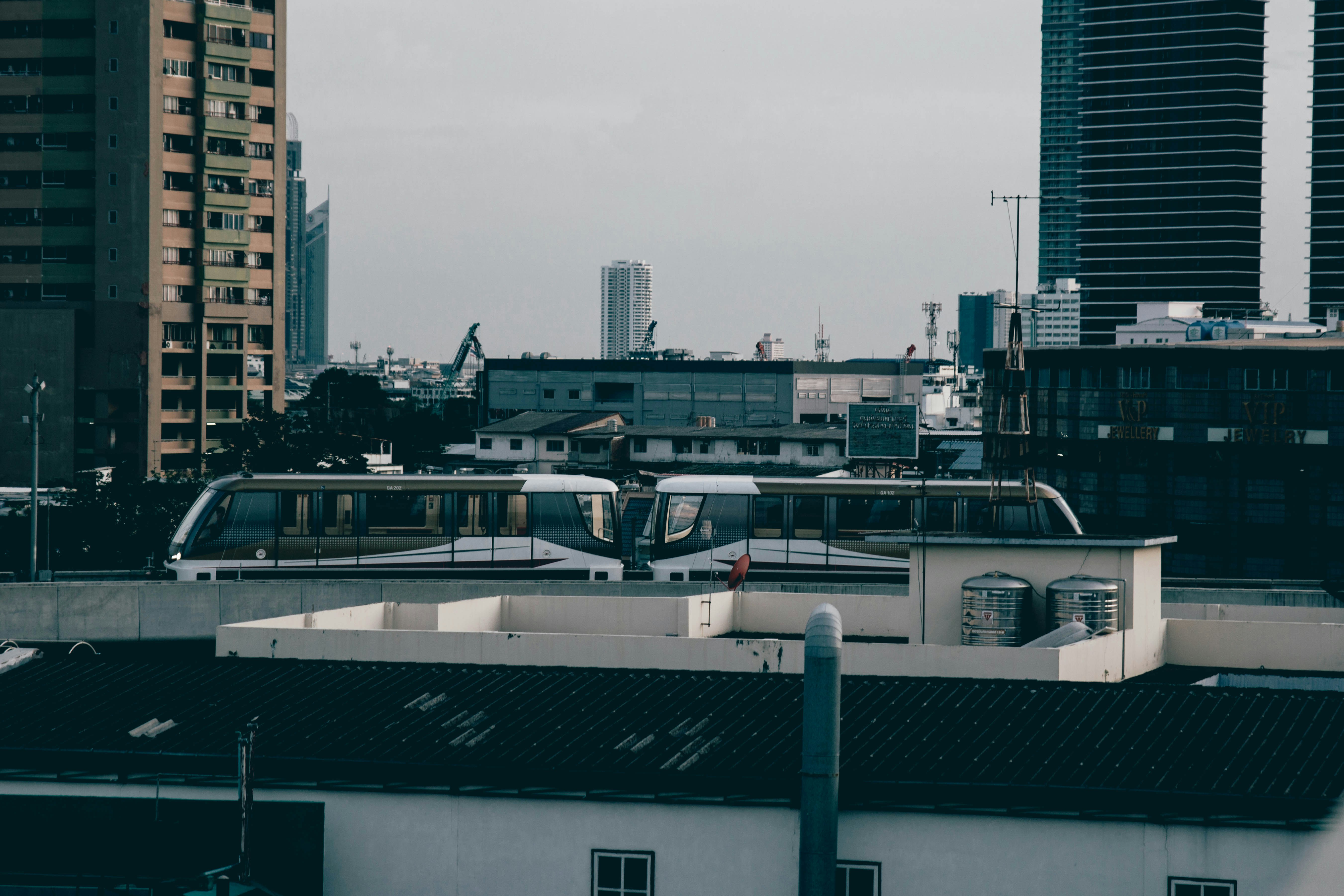 Photo by kamilpphotos