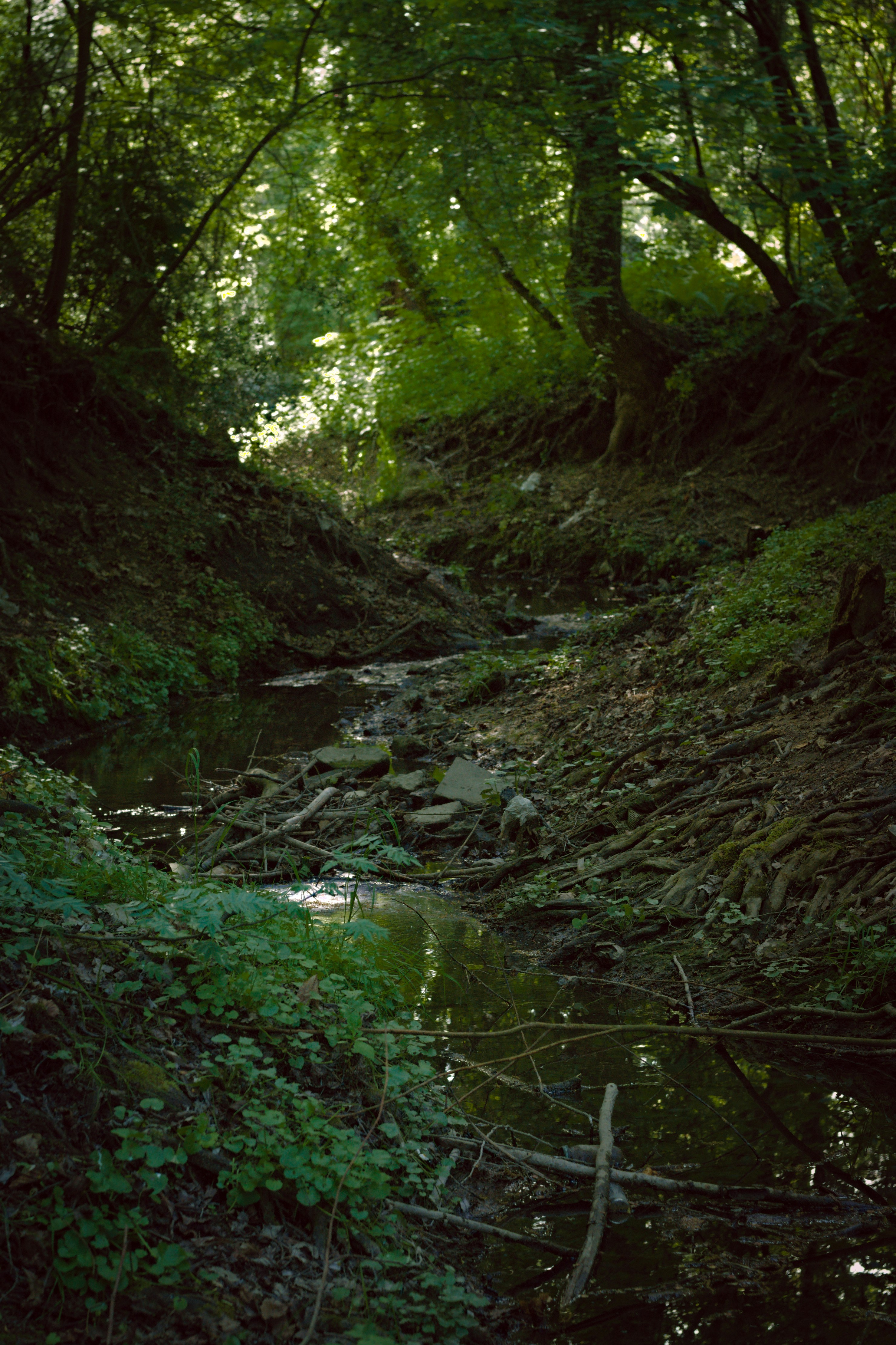 Photo by sagatto