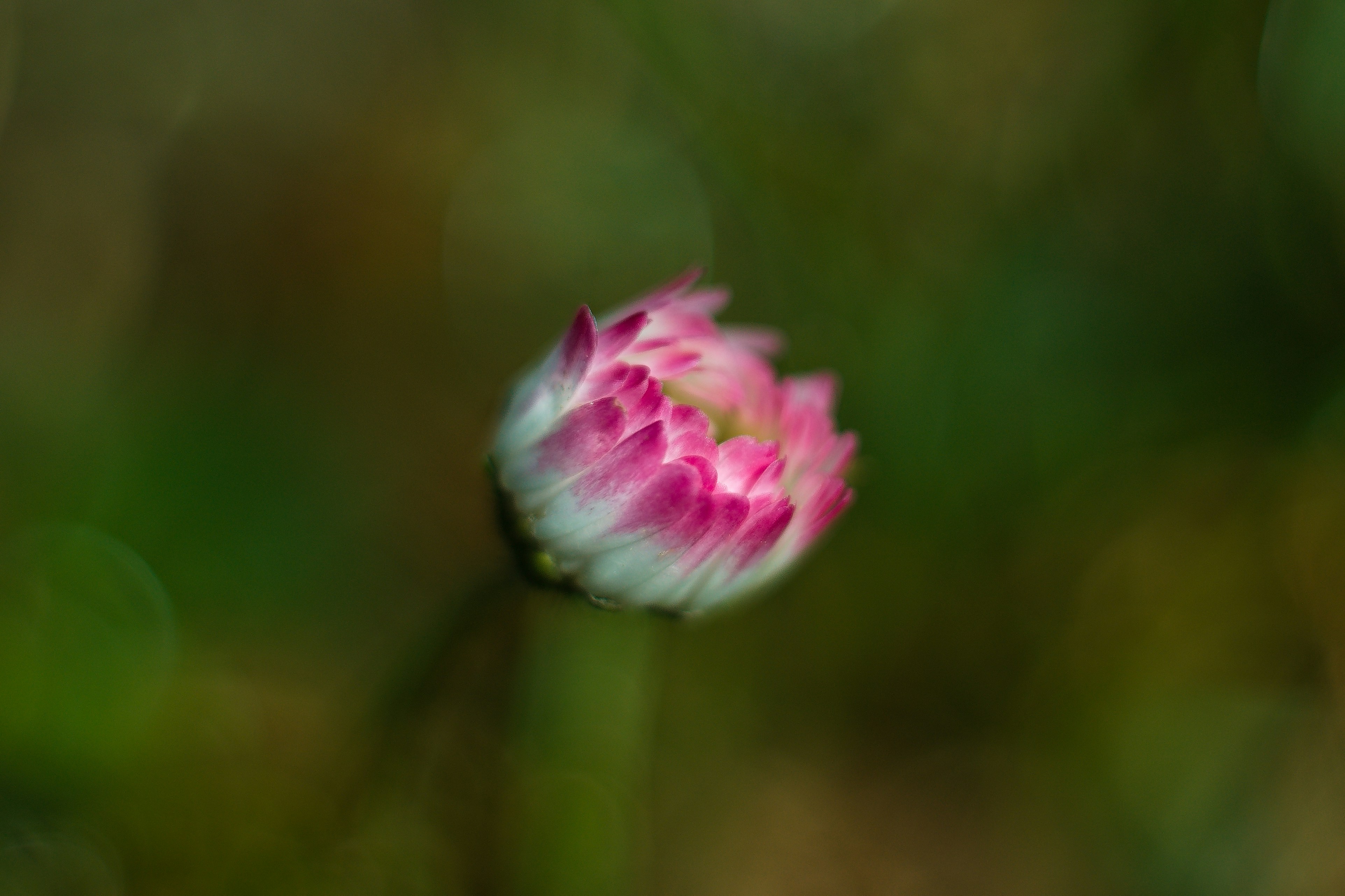 Photo by sagatto