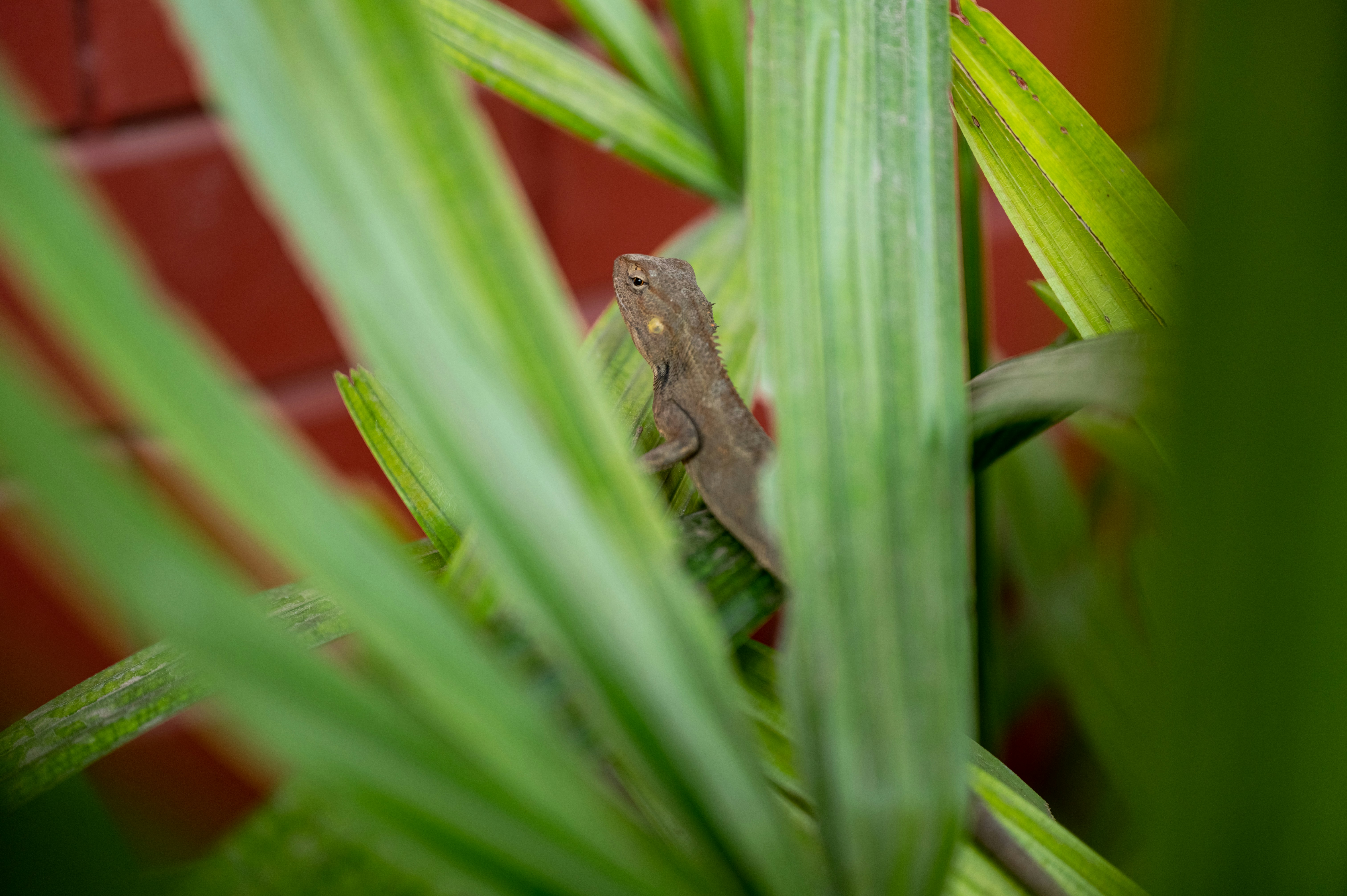 Photo by shutterbugvicky