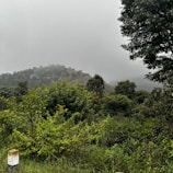 Close-up of a plot boundary marker with lush green surroundings.