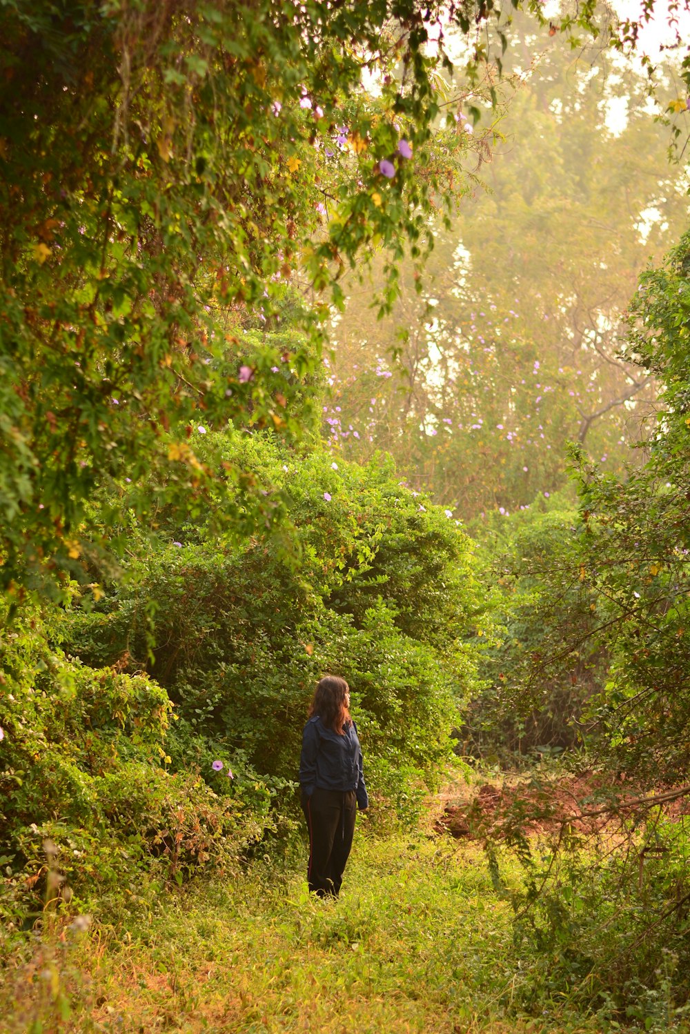 una persona in piedi in una foresta