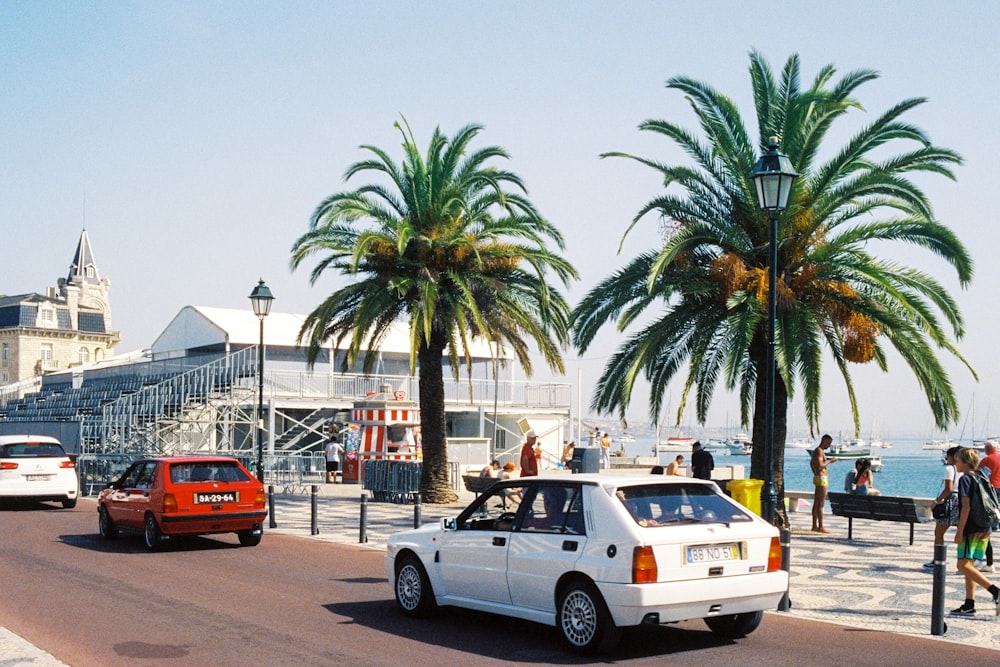 cars parked on the side of a road with palm trees and buildings