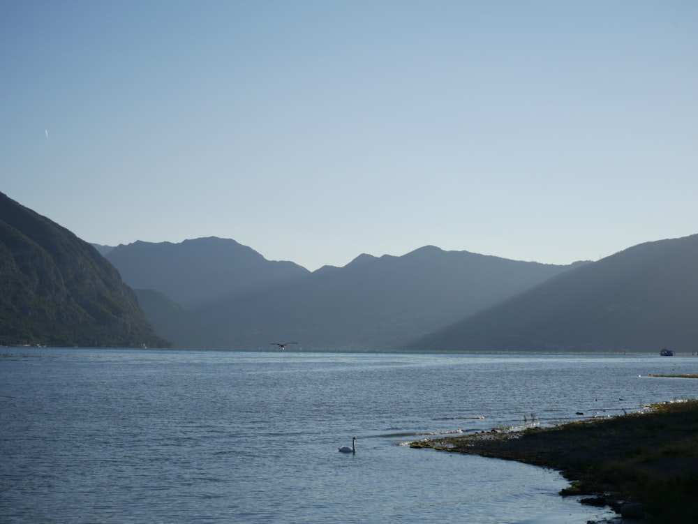 a body of water with mountains in the background