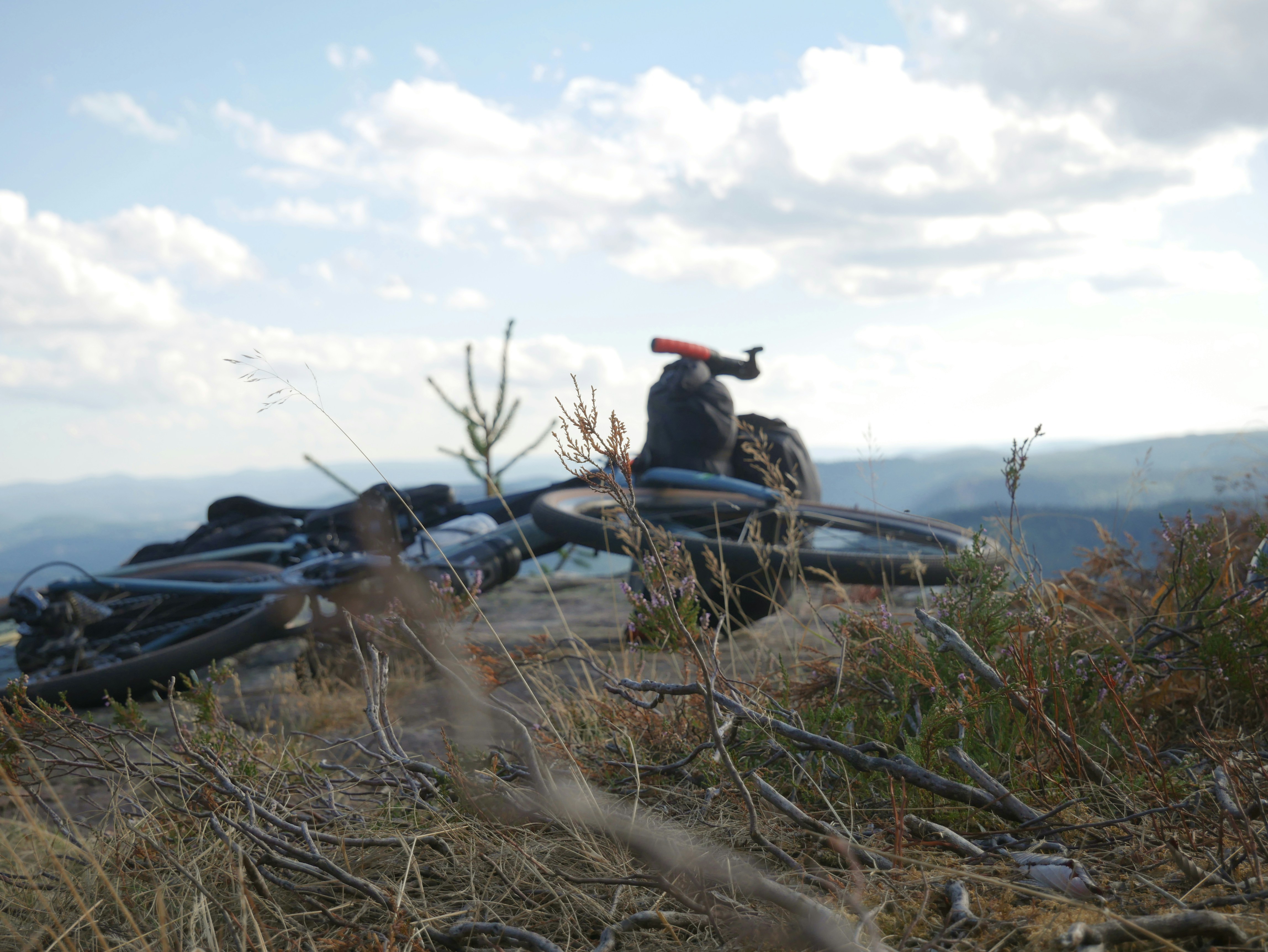 a person sitting on a tractor