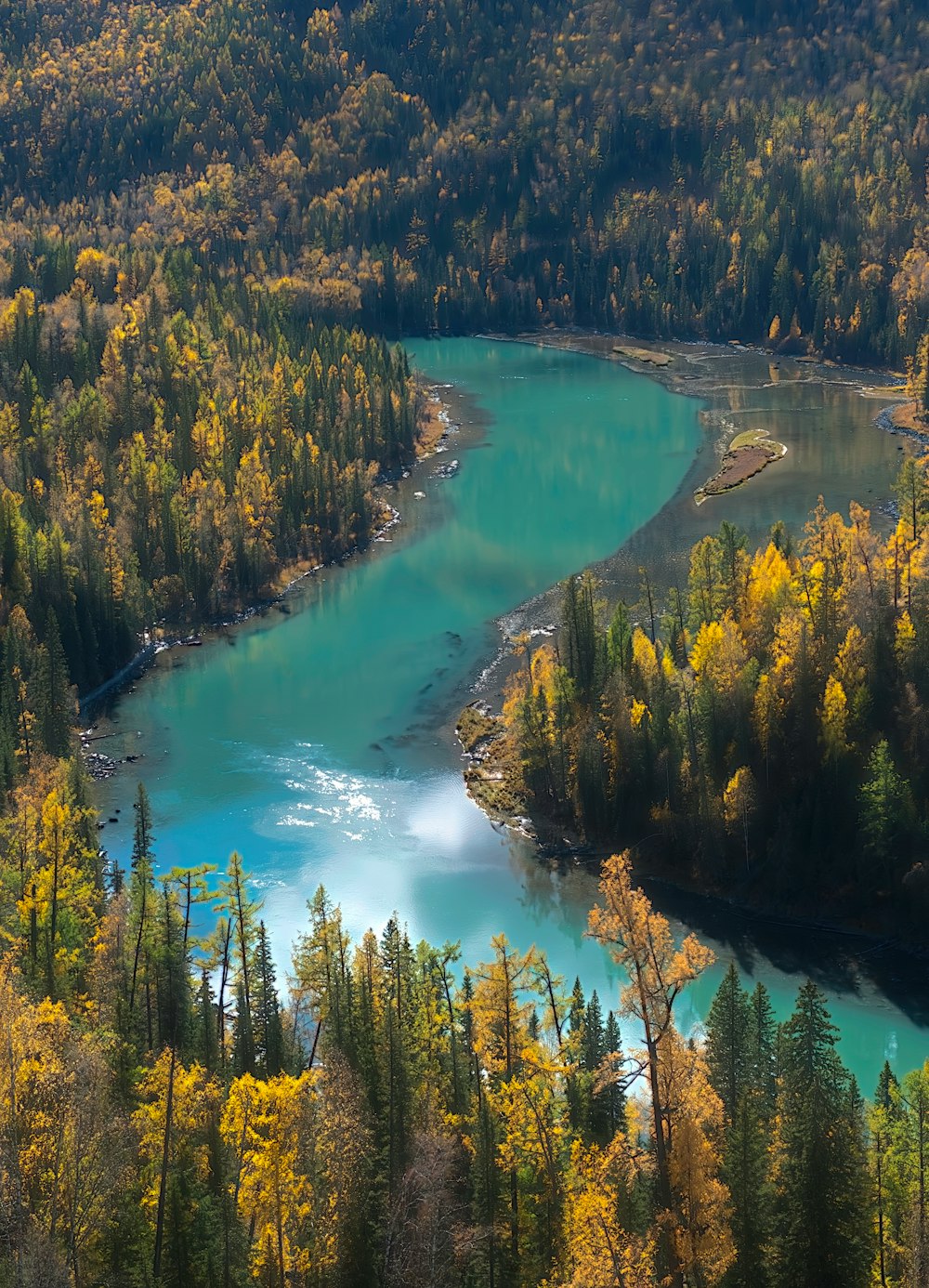 a river surrounded by trees with Jiuzhaigou in the background