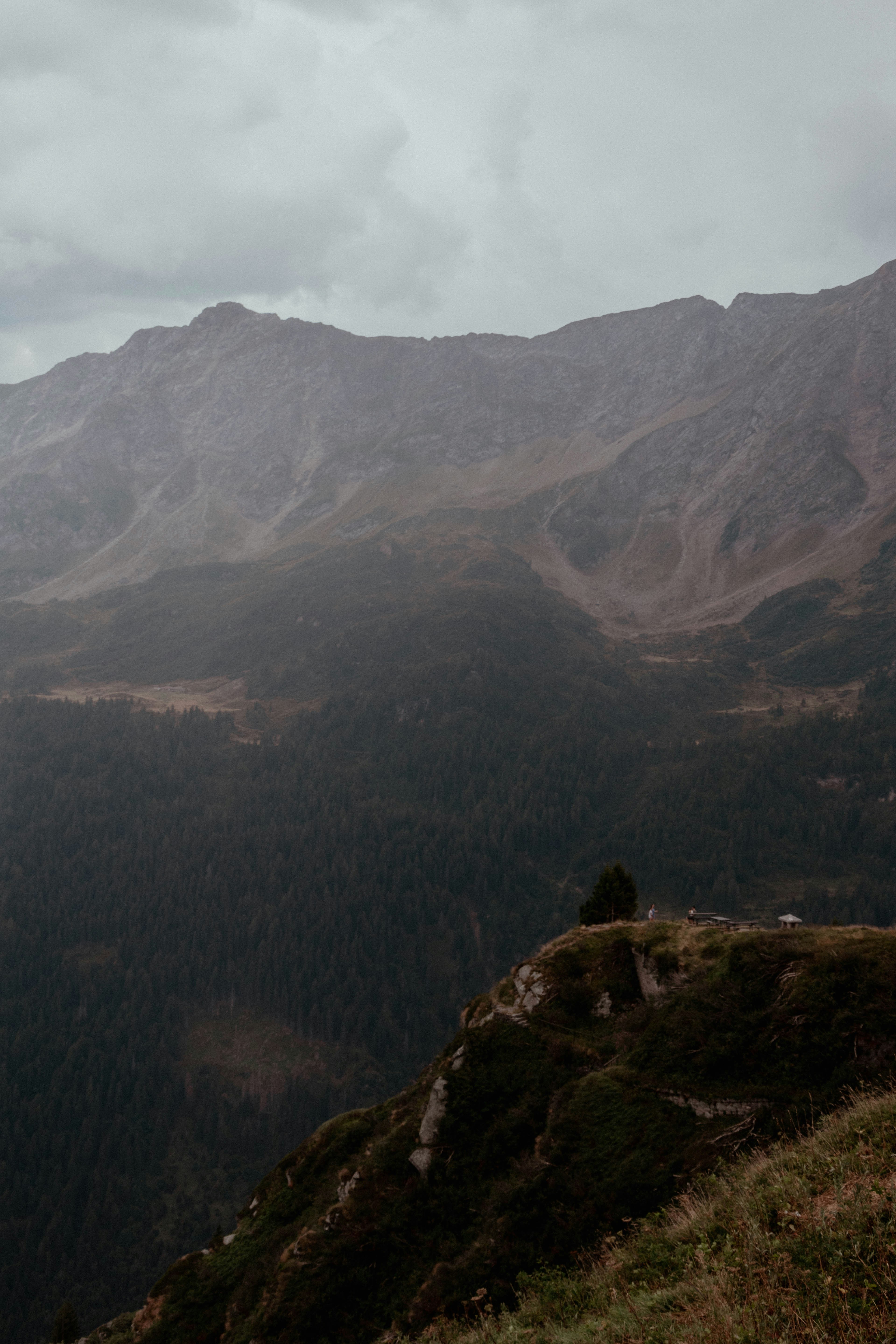 a valley with a few trees