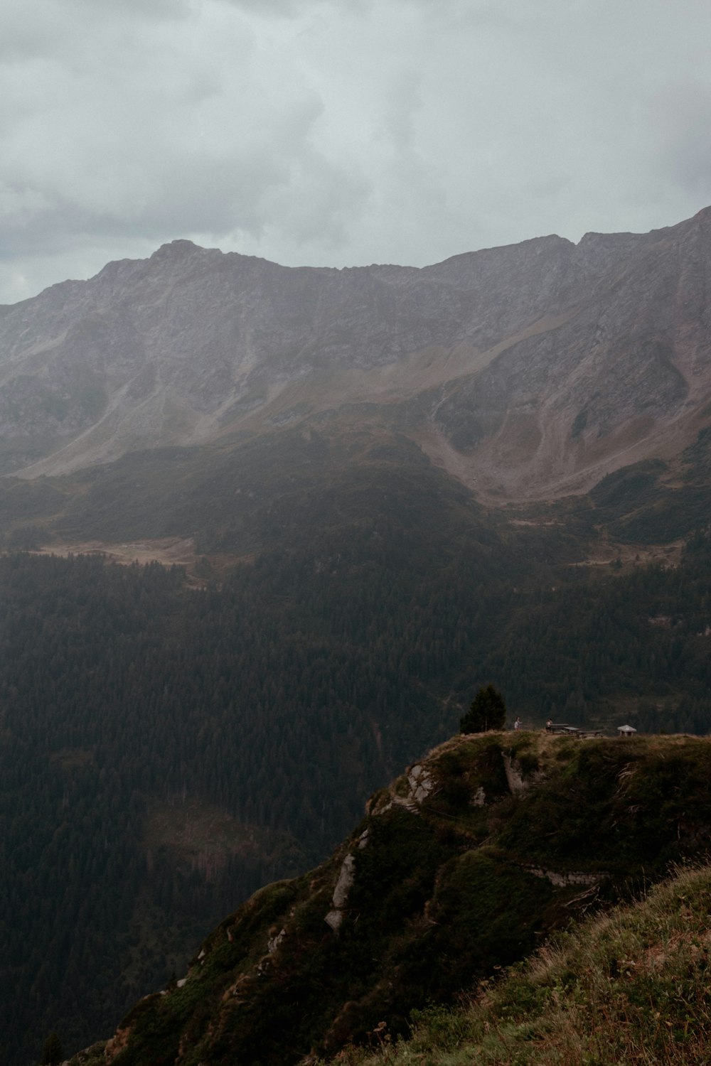 a valley with a few trees