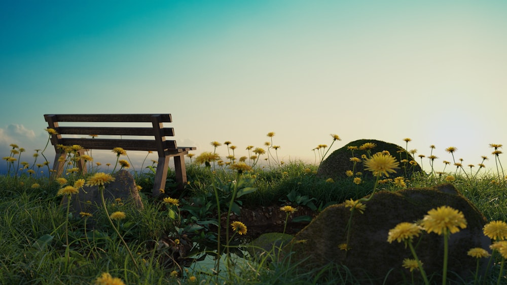 a bench in a field of flowers