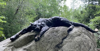 A sleek black panther poised on a rock, symbolizing strength and precision in fitness and scientific research.