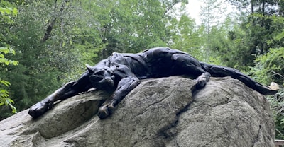 Black panther statue surrounded by lush green foliage, echoing the brand’s signature imagery.