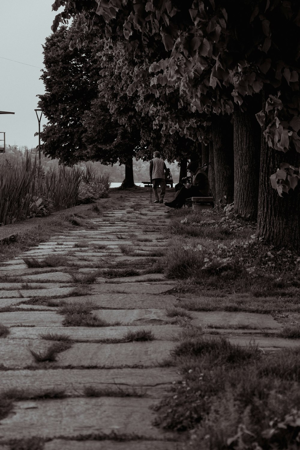 a person walking on a path