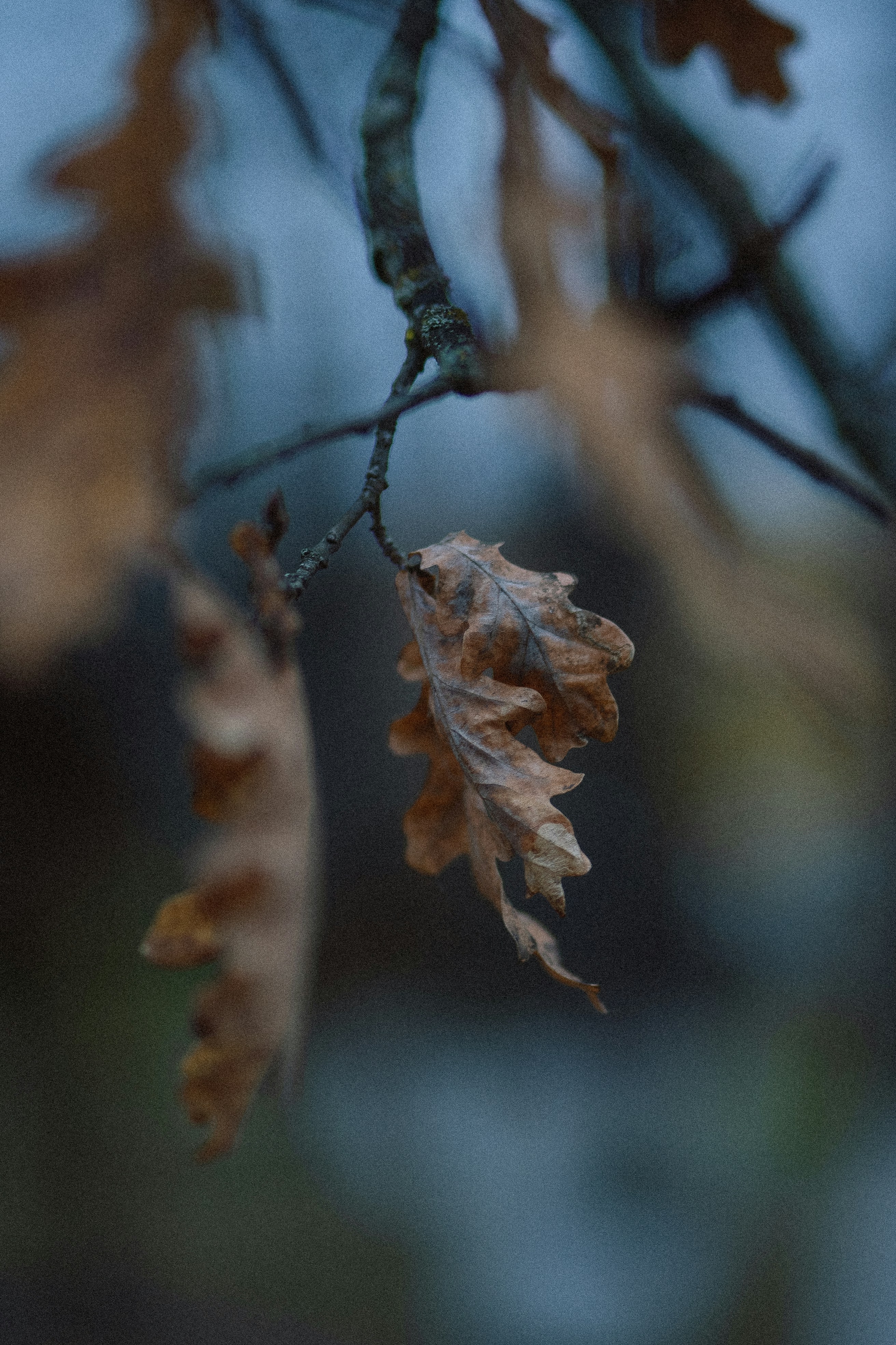 Photo by eugenechystiakov