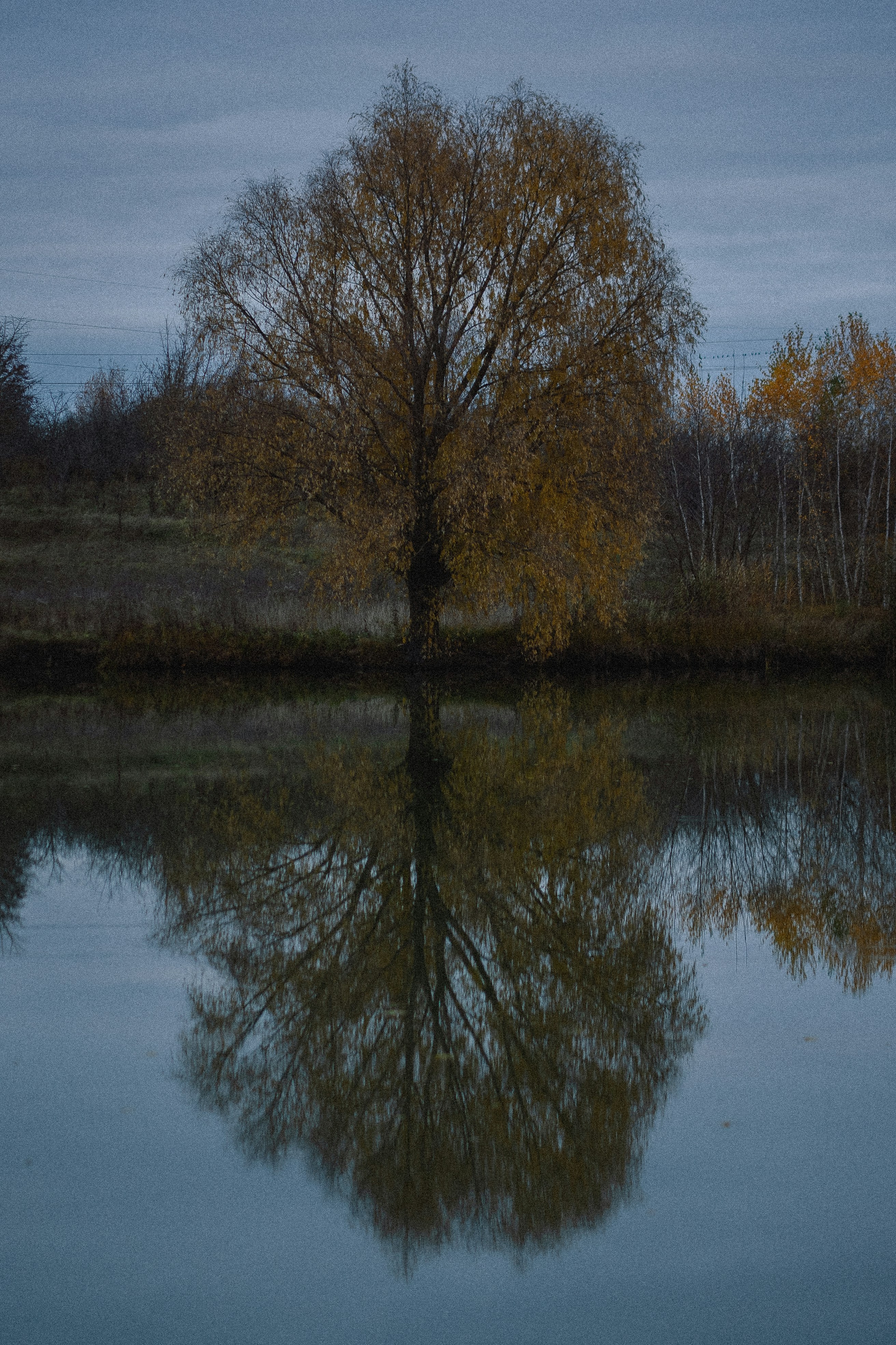 Photo by eugenechystiakov