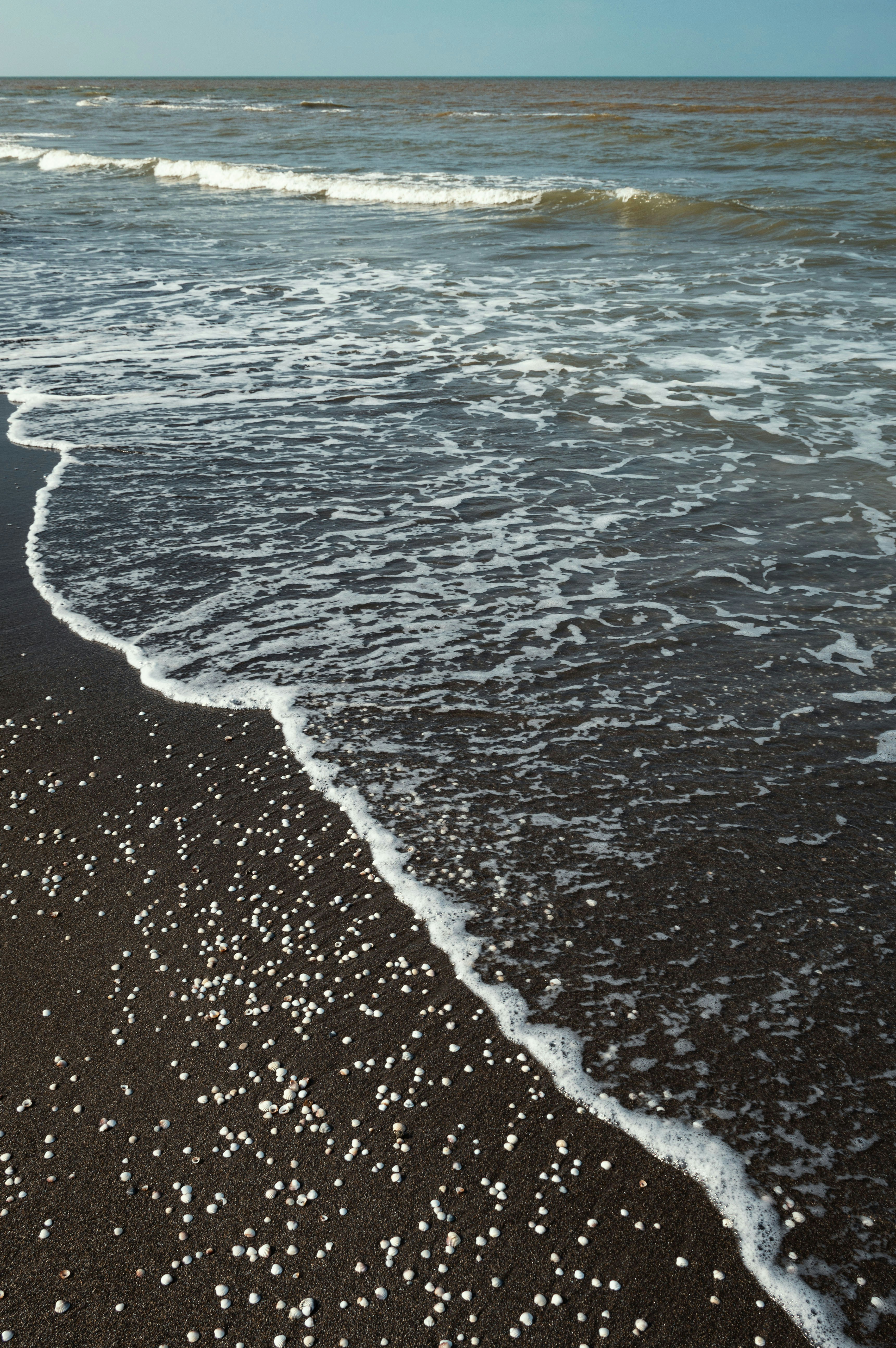 Photo by s_ahmadreza_p