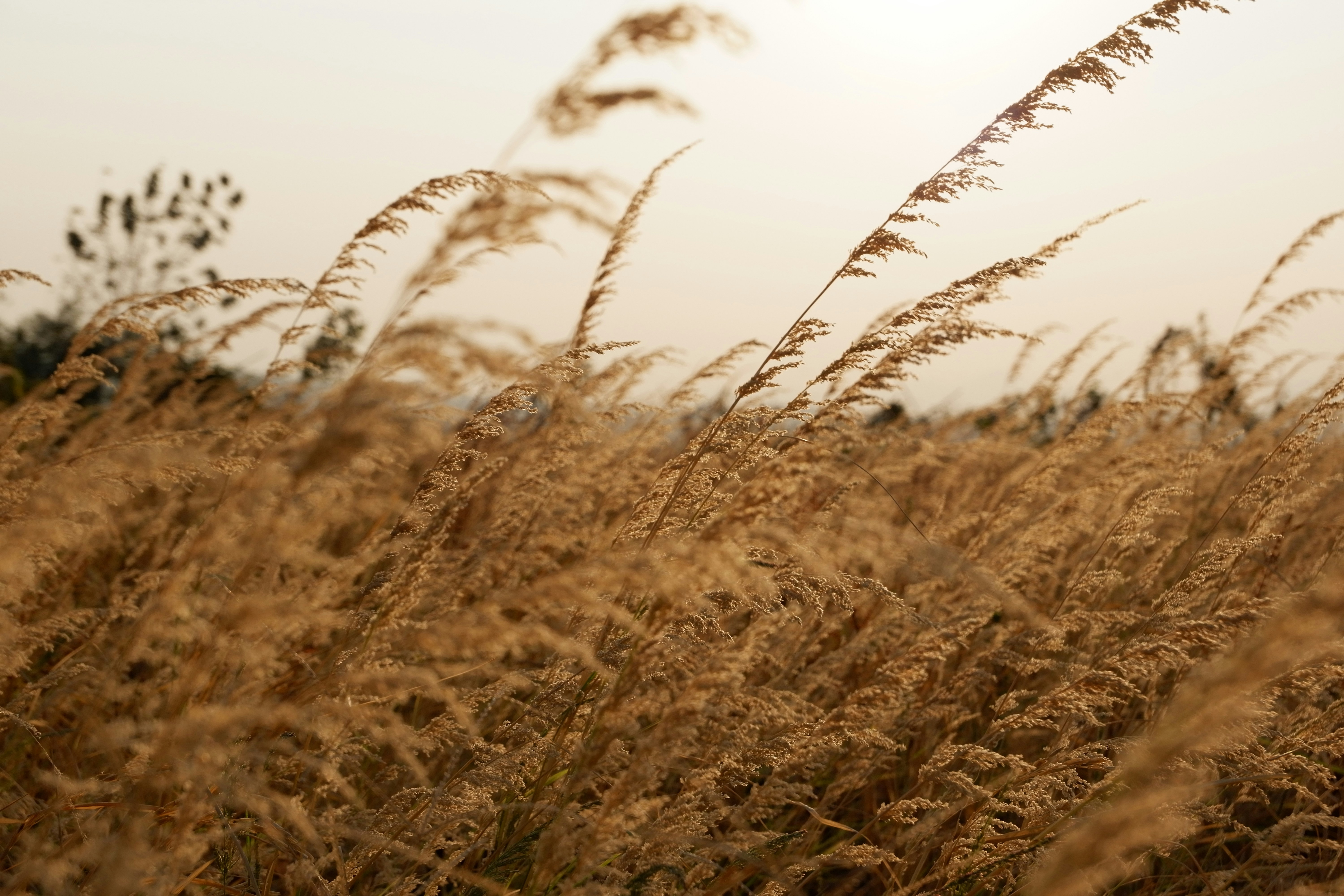 Photo by regiapriandi