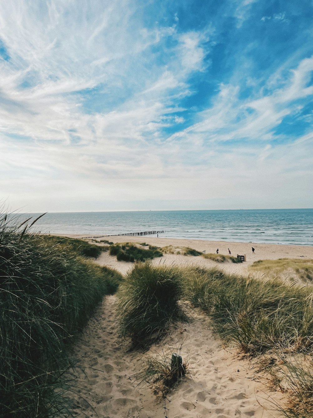 ein Sandstrand mit einem Gewässer im Hintergrund