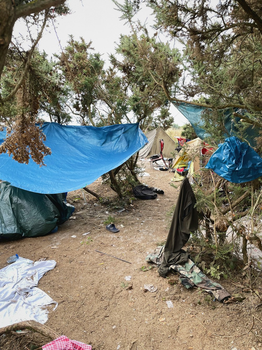 a group of tents in a forest