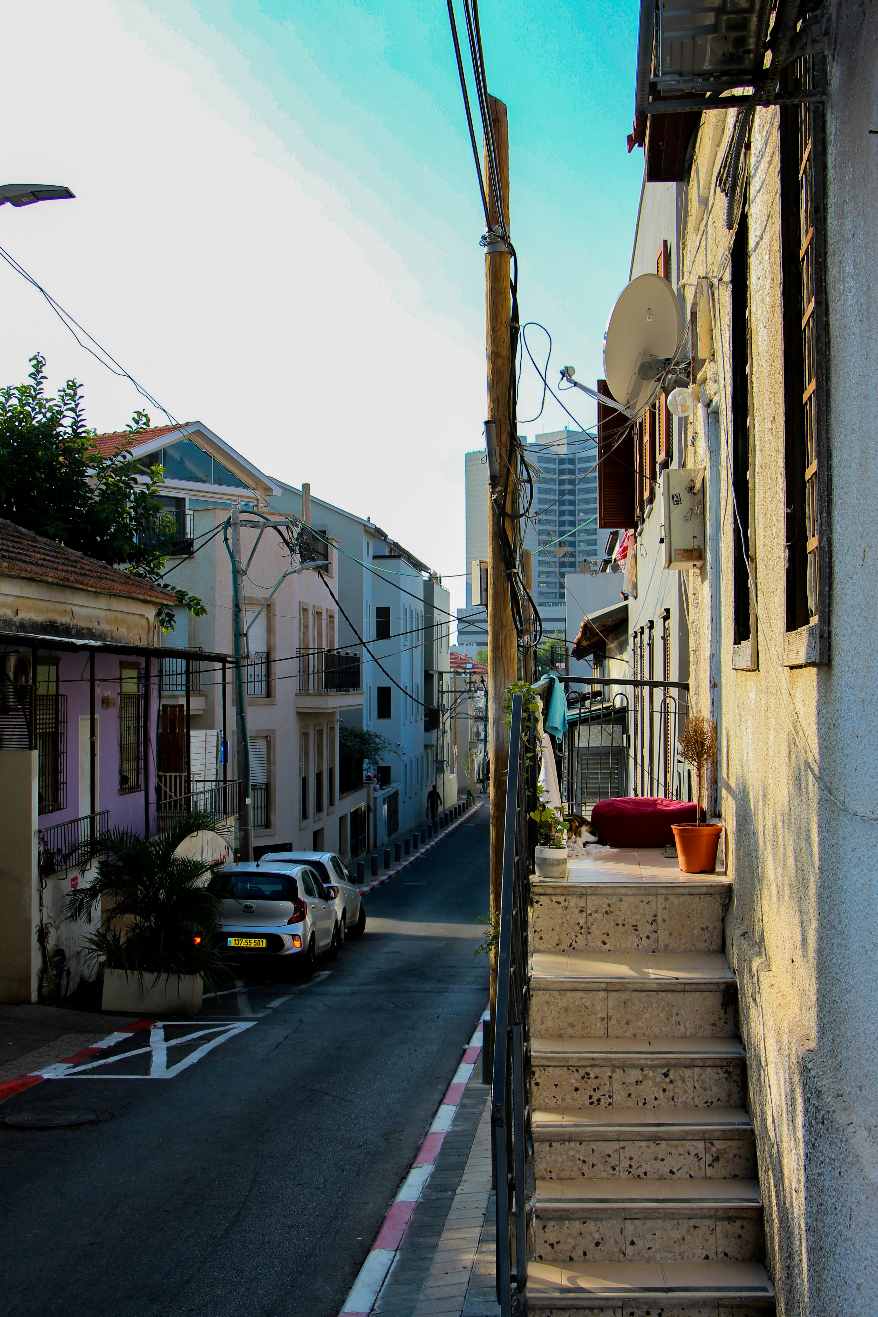 Photo by tudor_photography