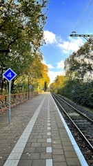a train track with trees on the side