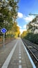 a train track with trees on the side