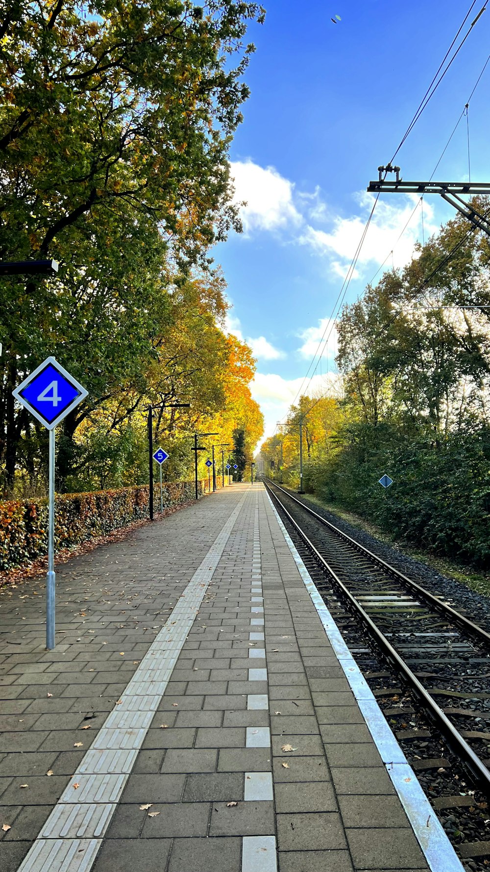 a train track with trees on the side