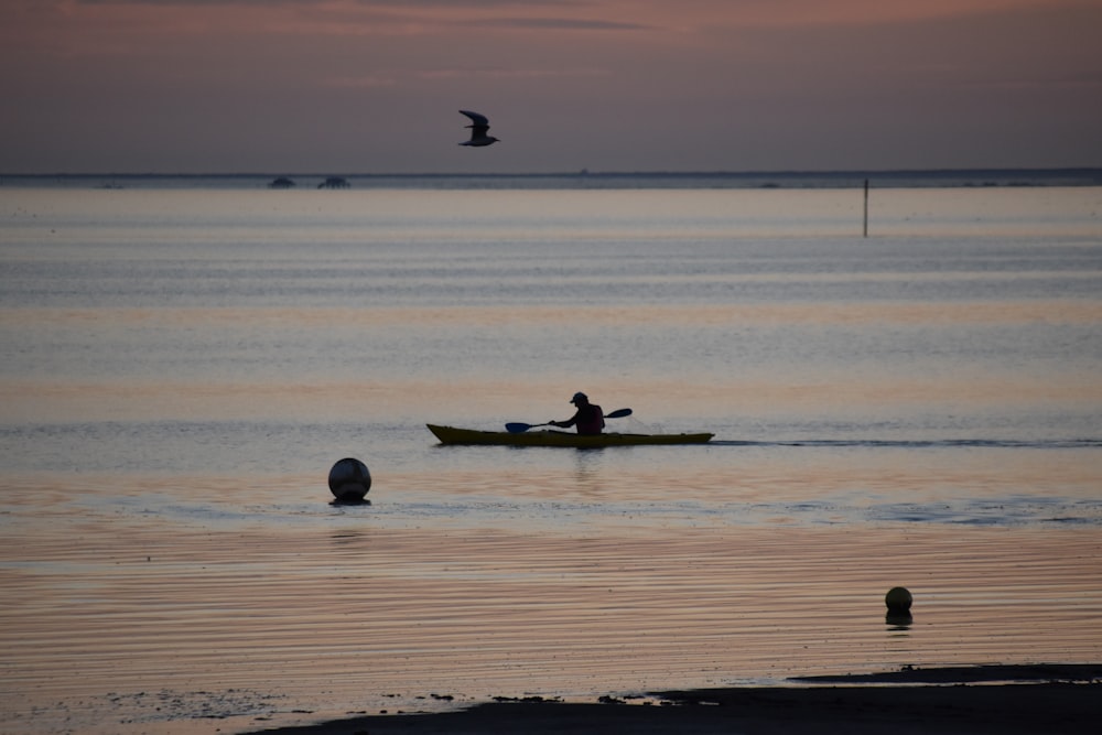 a person in a boat in the water with a bird flying above