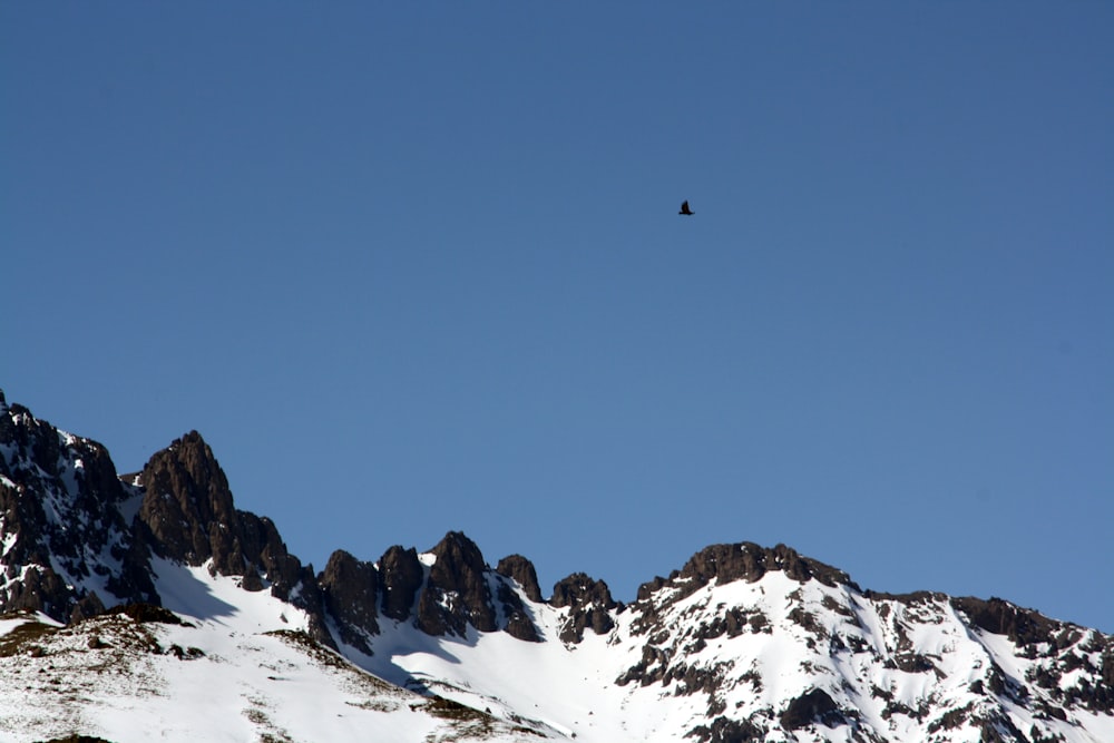 a person flying a kite