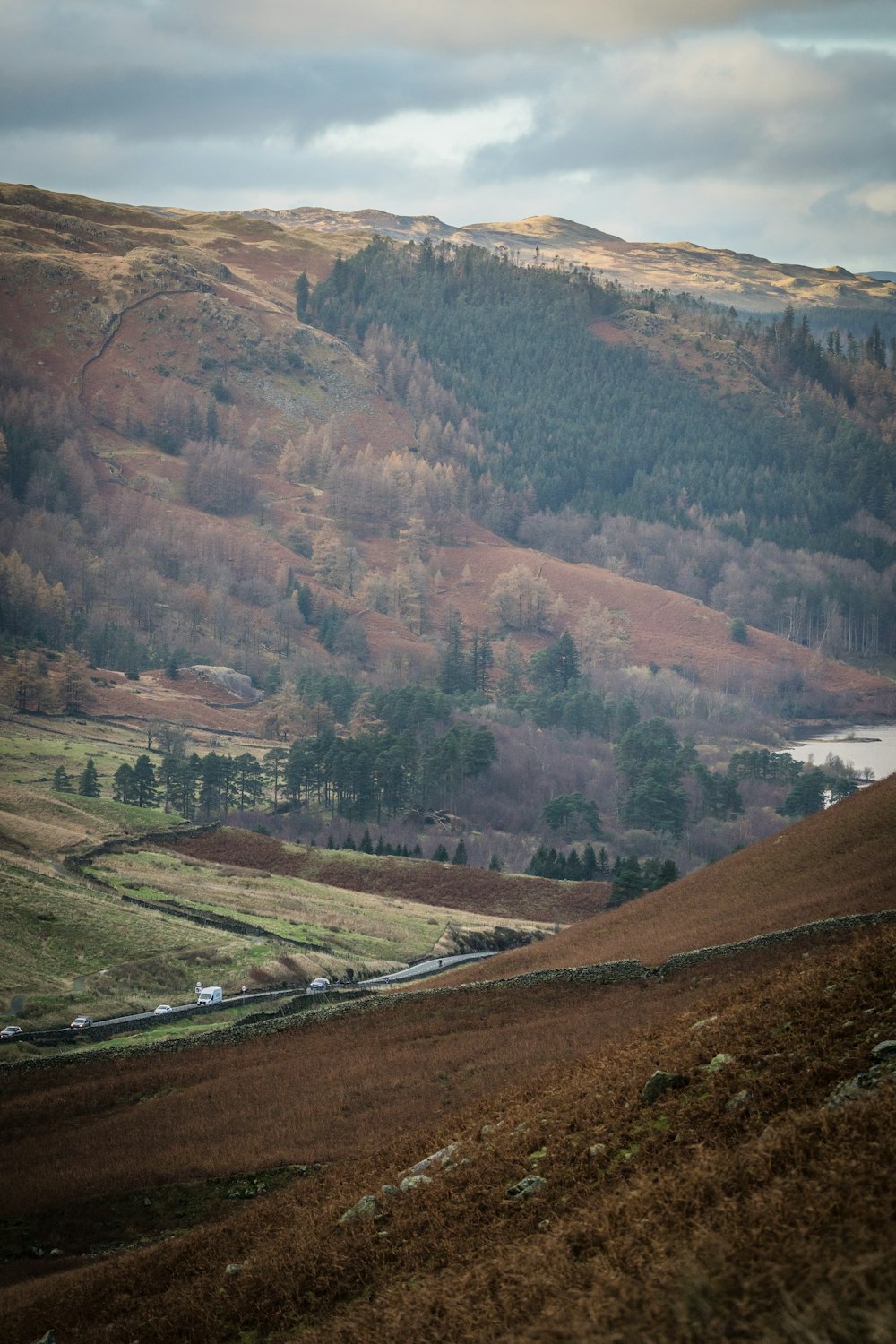 a landscape with hills and trees