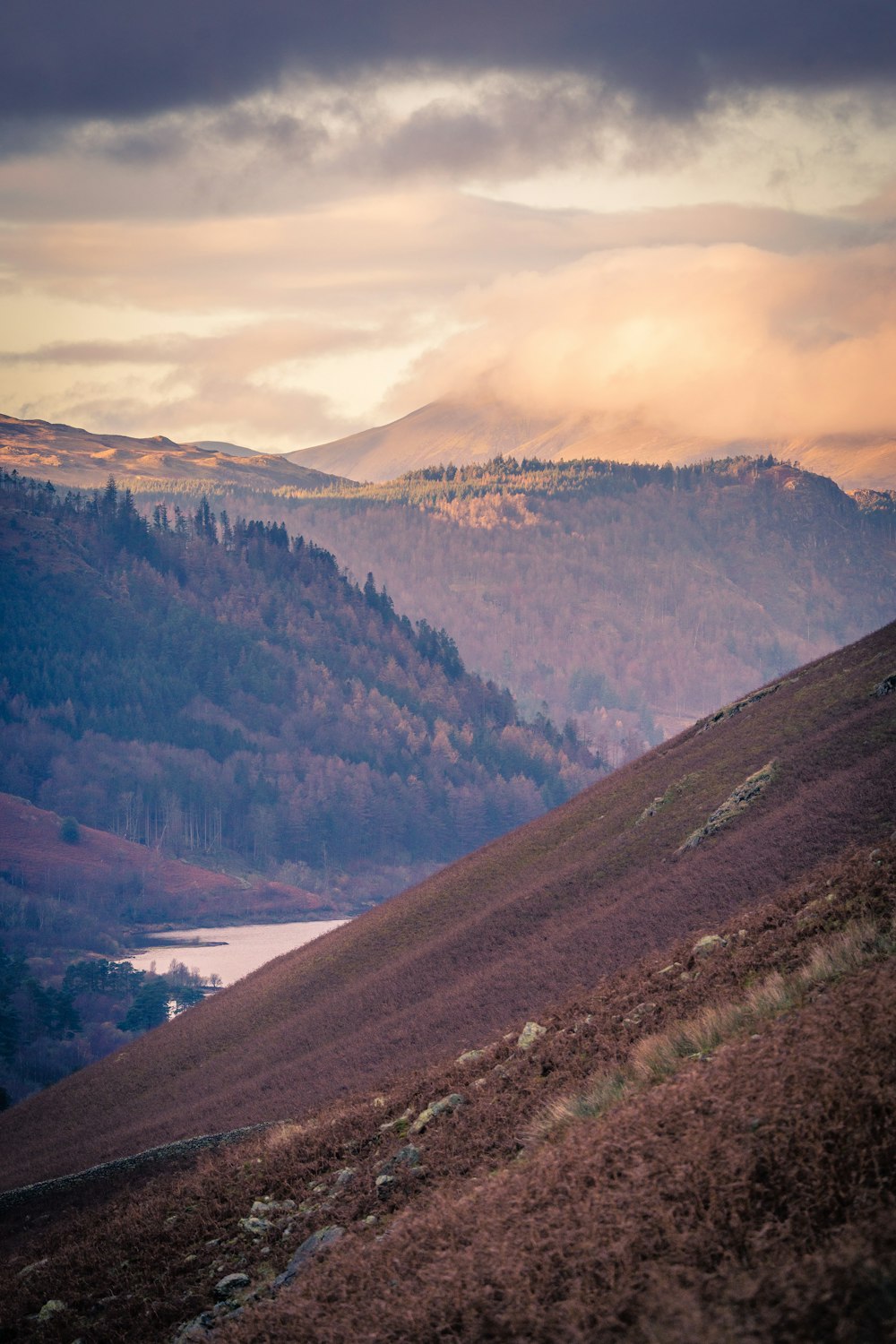 a landscape with hills and trees