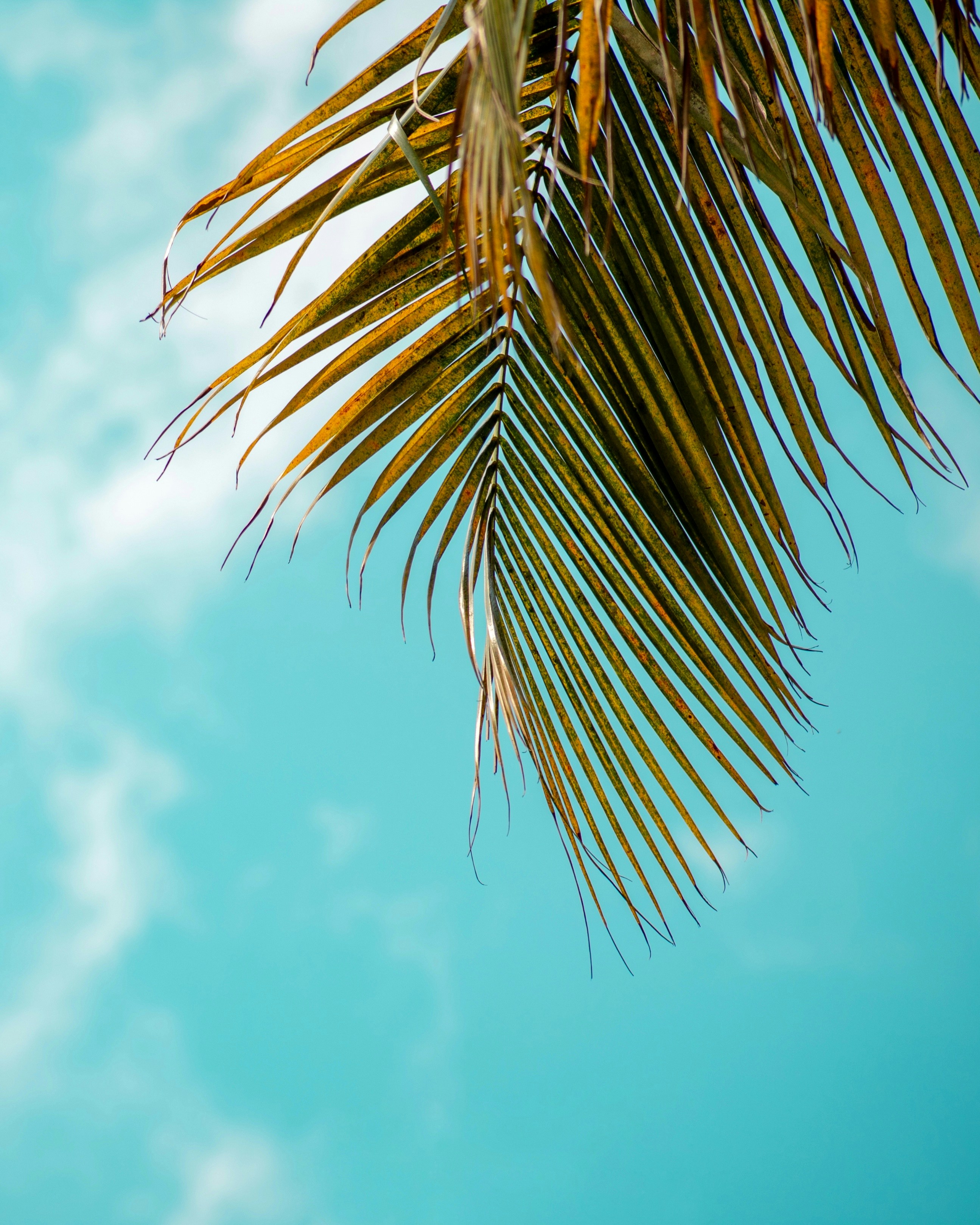 Photo by shoebkhatib