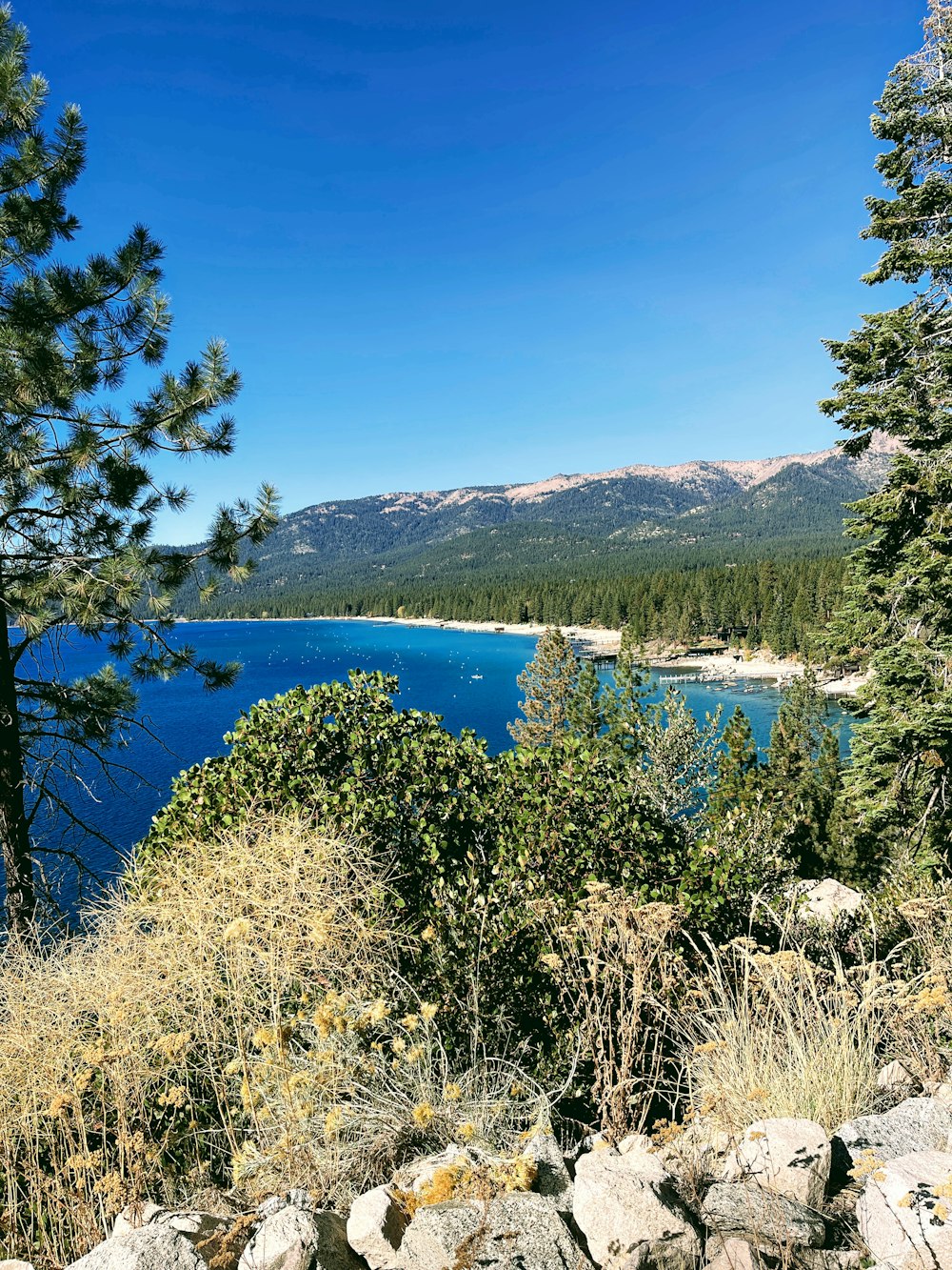 a lake surrounded by trees and rocks