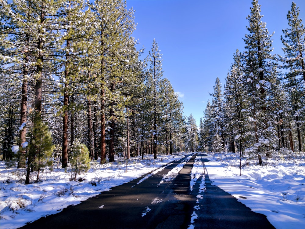 uma estrada com neve ao lado