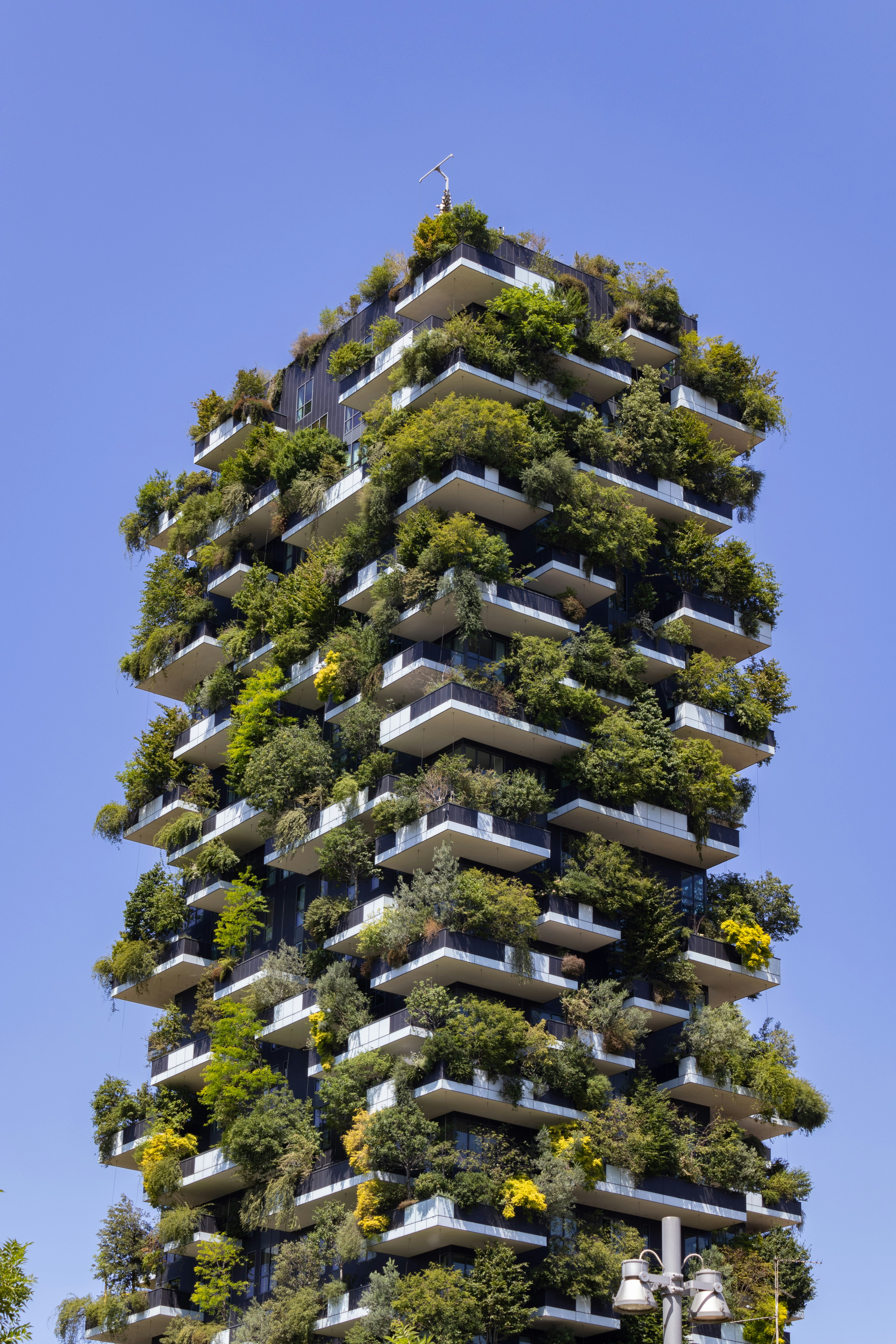 A building with many trees
