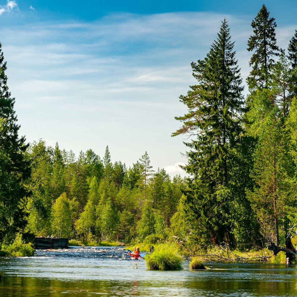 a group of people kayaking in a river