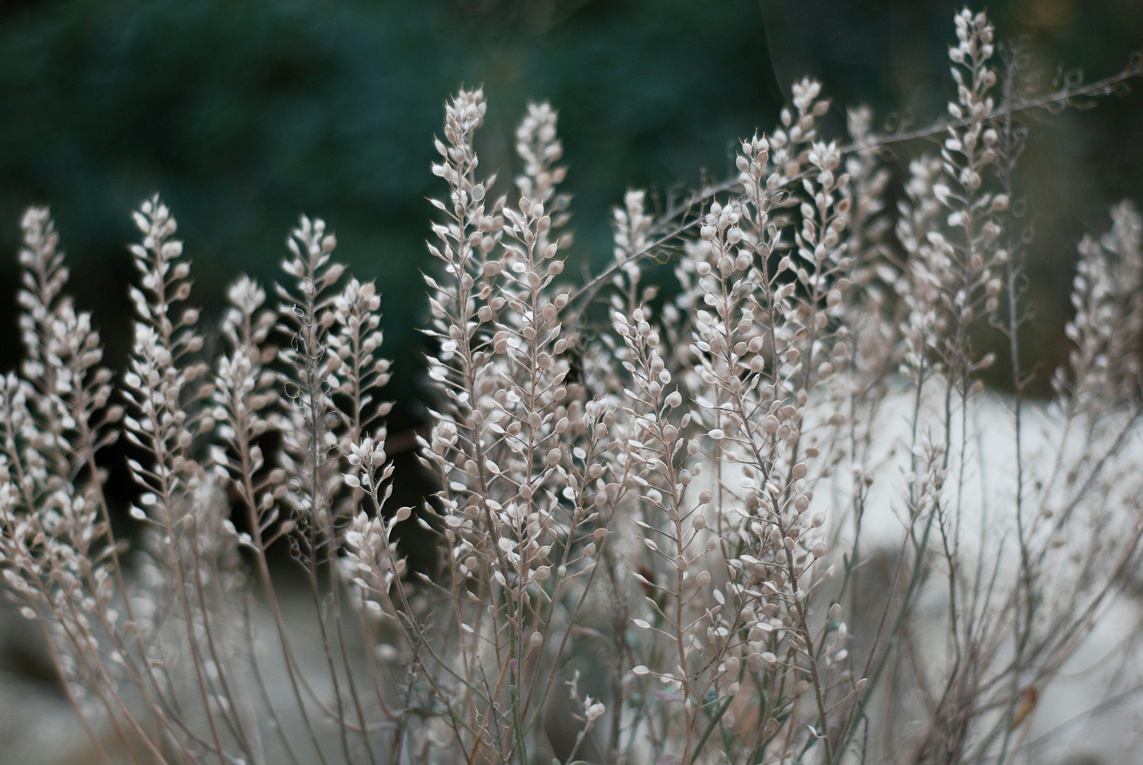 Photo by kovalskihelga