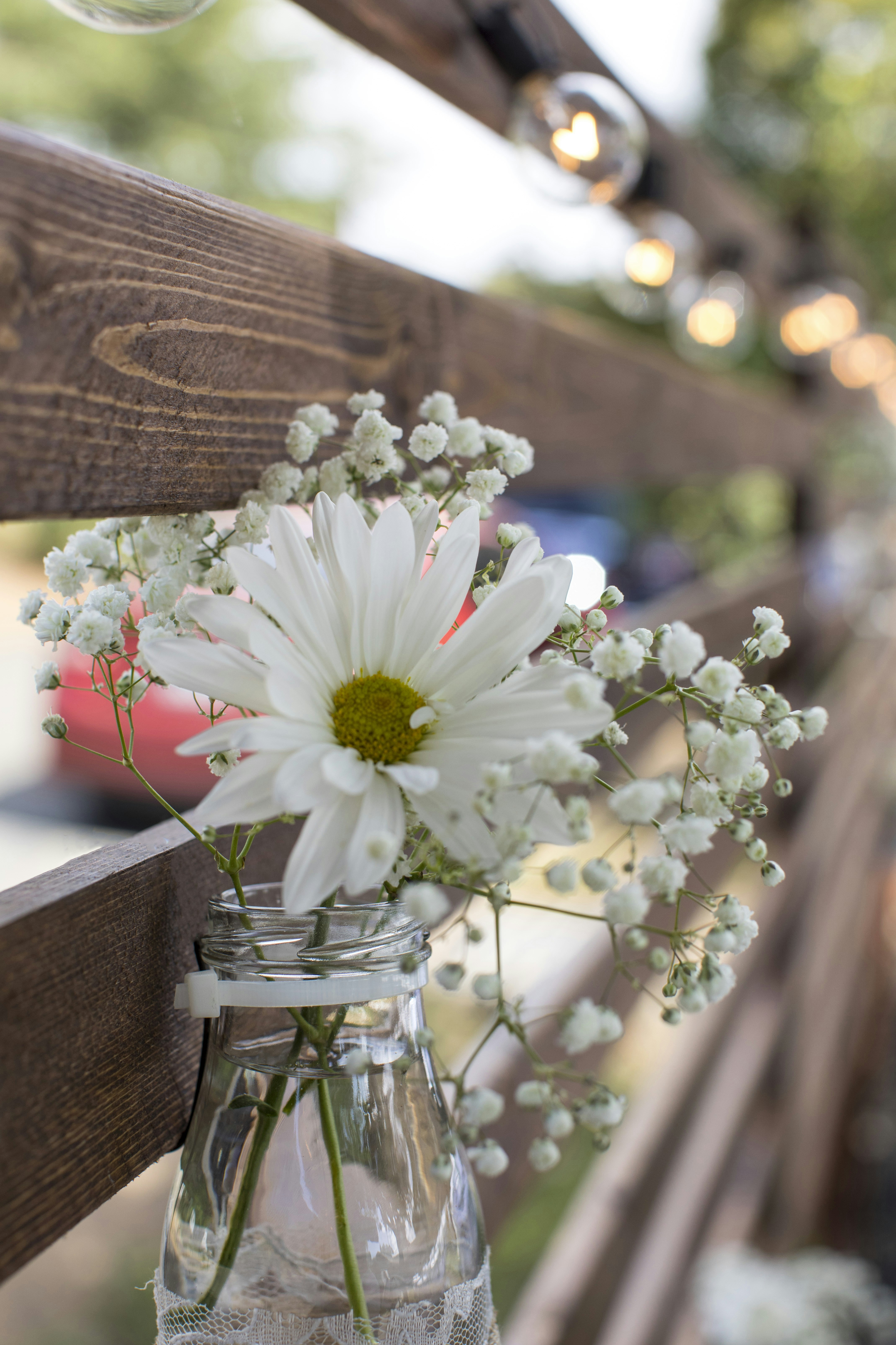 Photo by leo_visions_