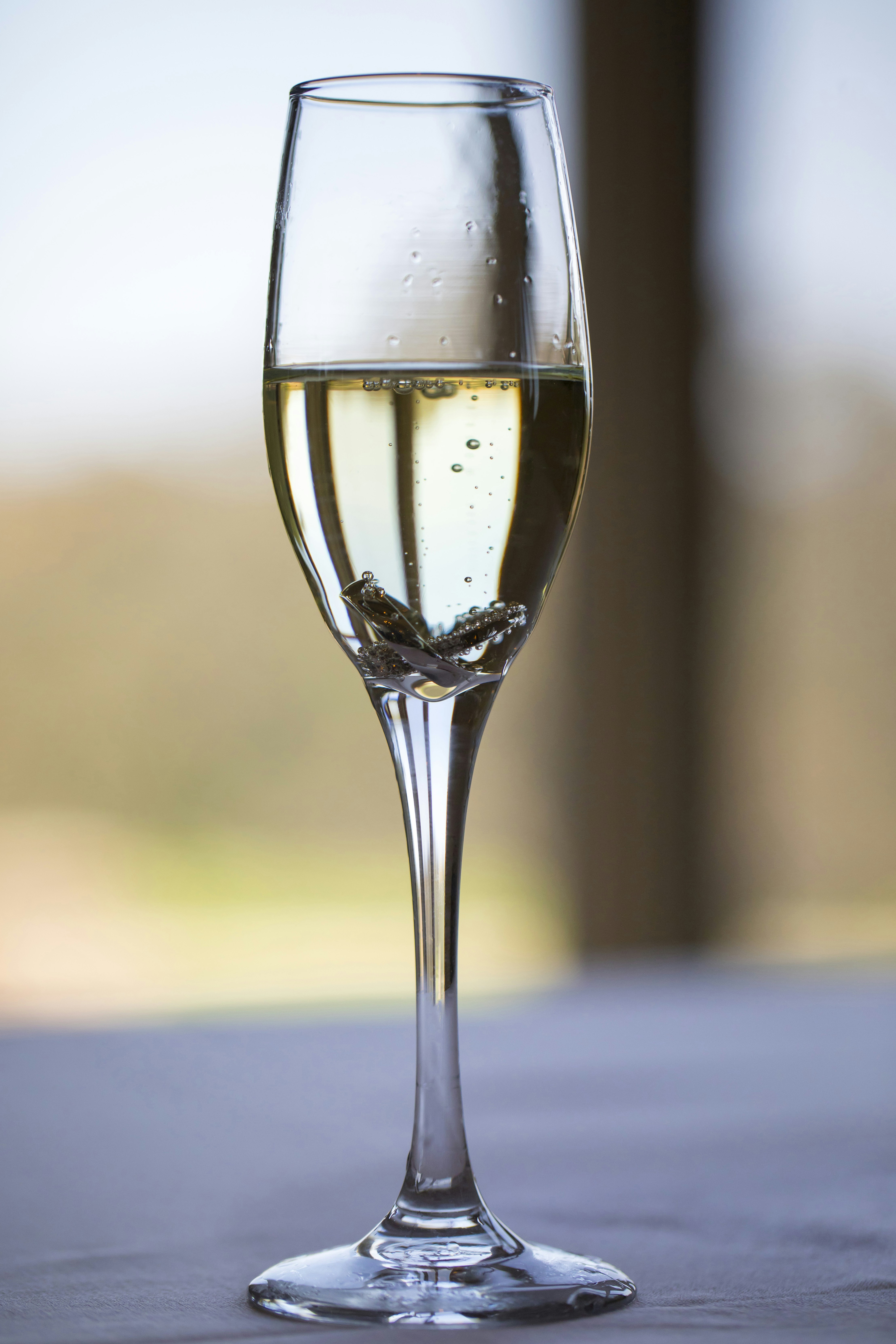 Photo by leo_visions_