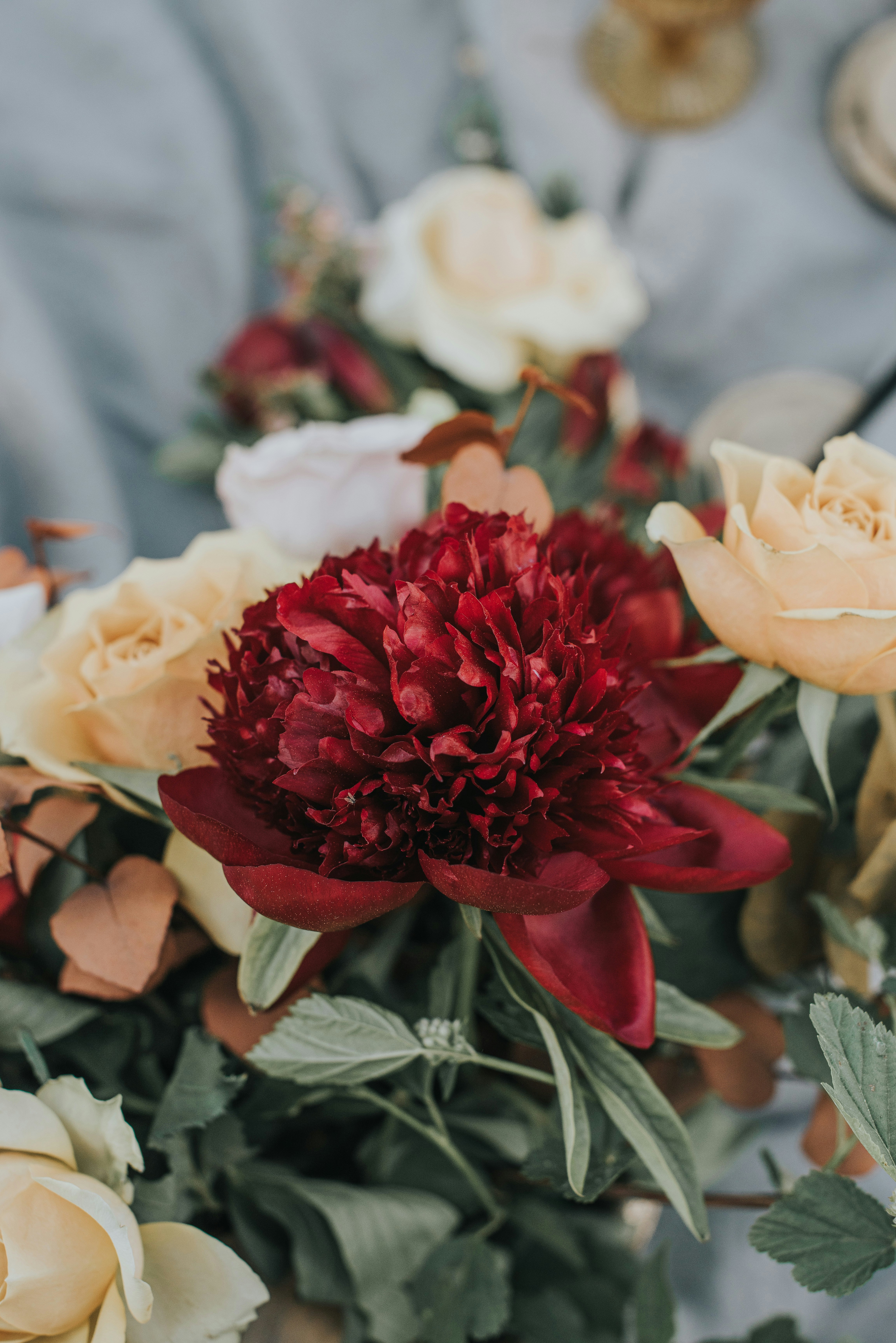 Photo by anitaaustvika