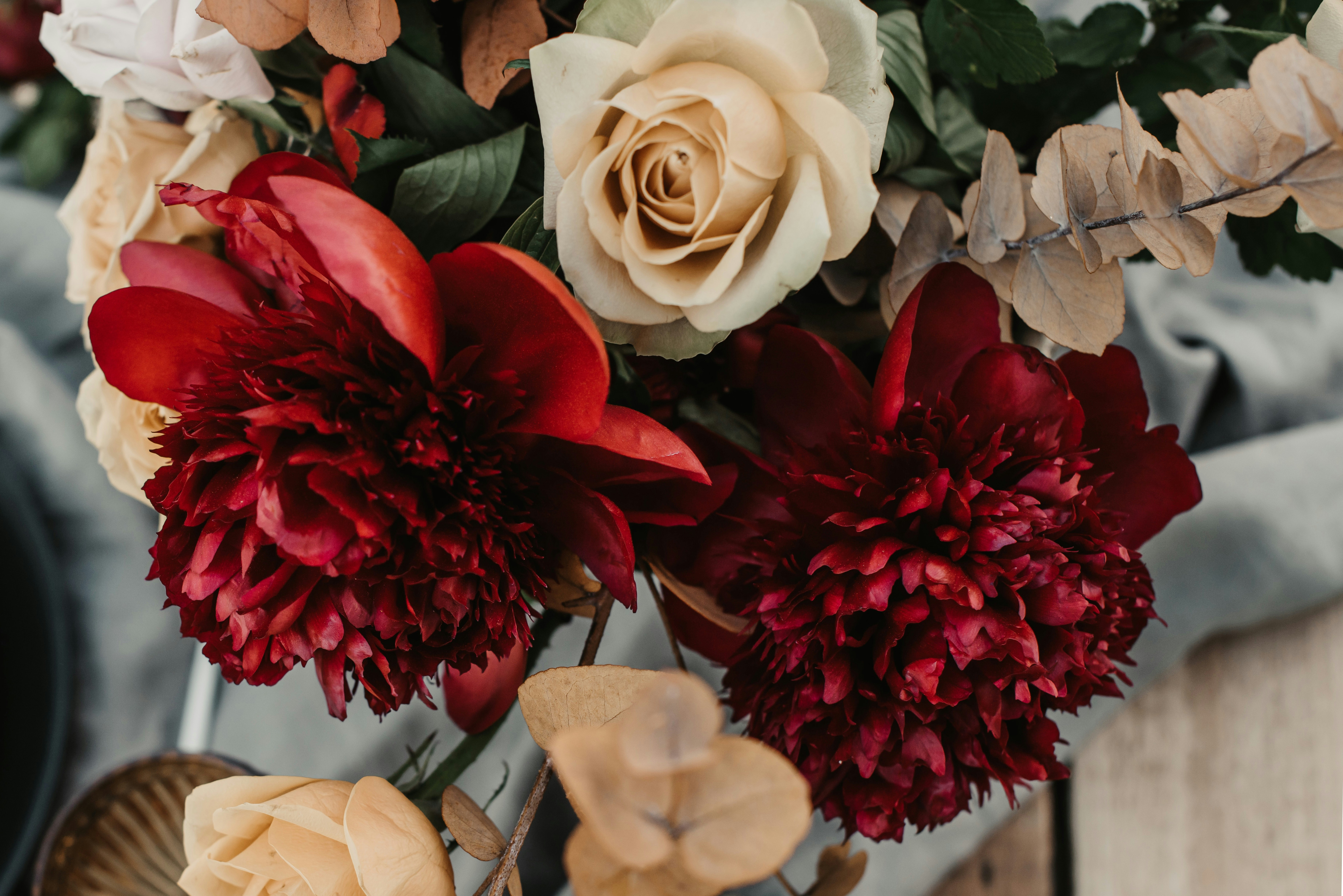 Photo by anitaaustvika