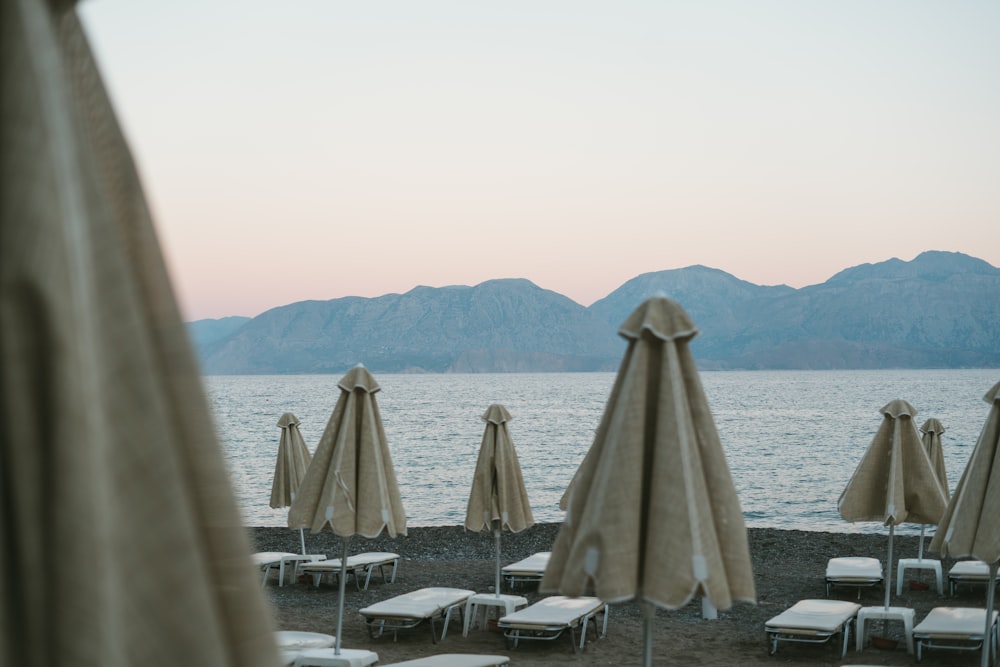 a beach with umbrellas