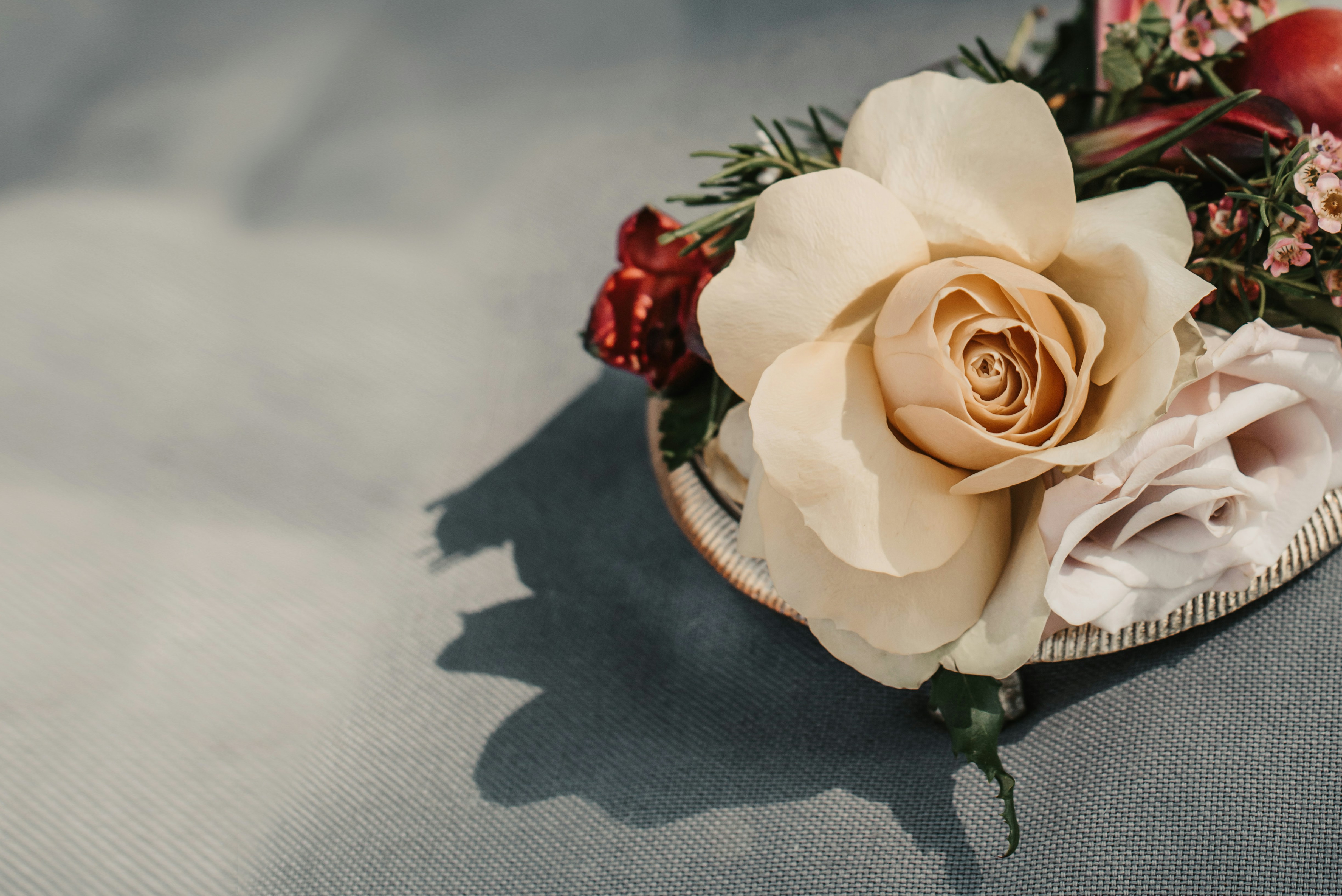 Photo by anitaaustvika