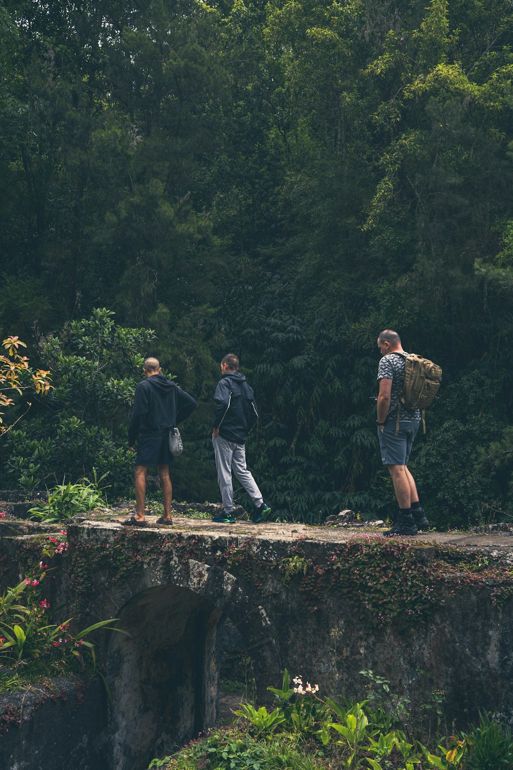 a group of people standing on a rock wall with trees in the background