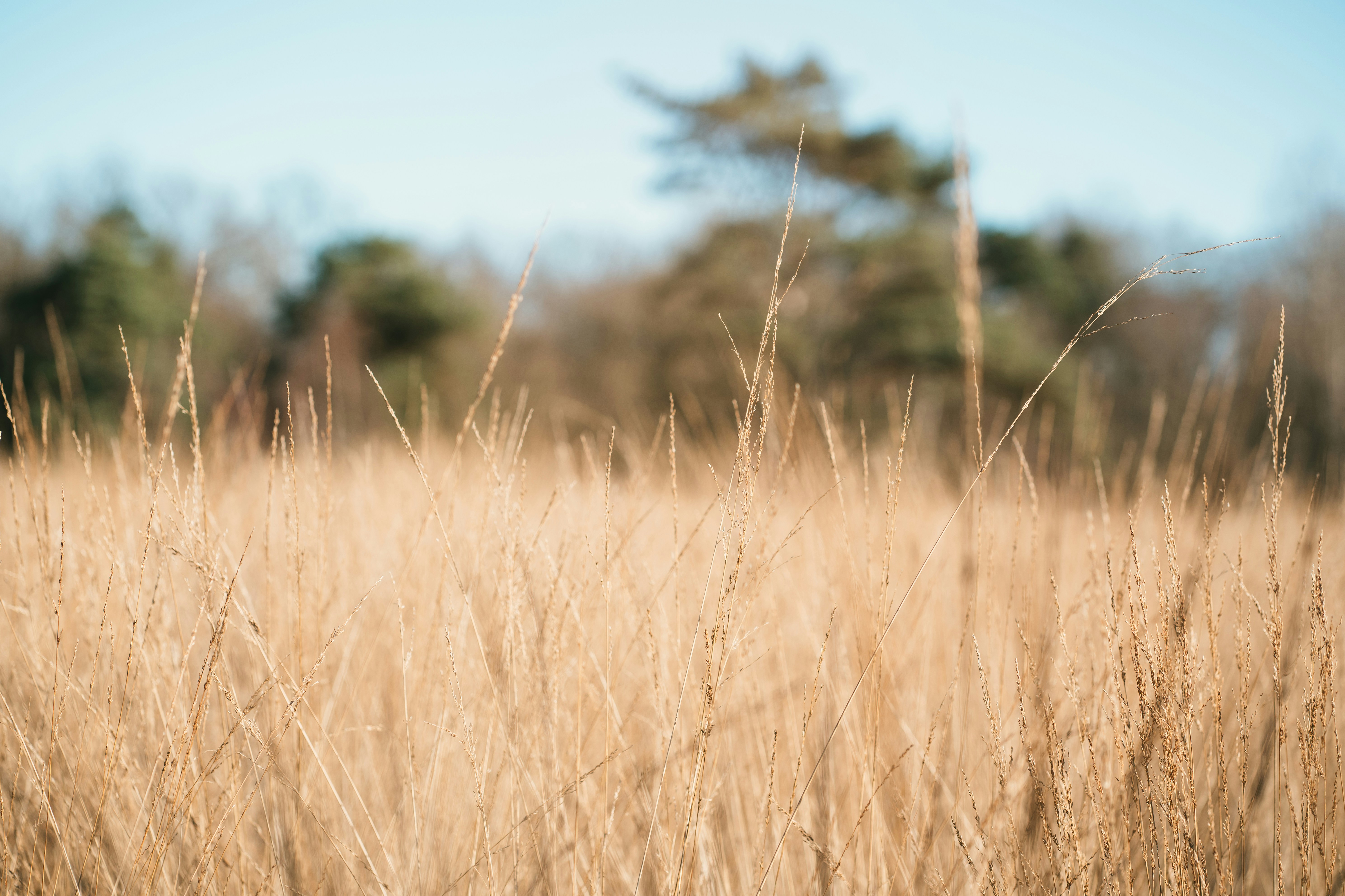 Photo by dorienbeernink