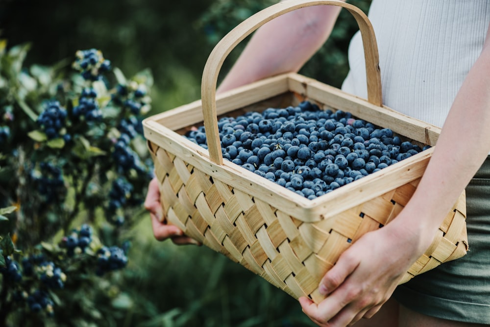 a basket of blueberries