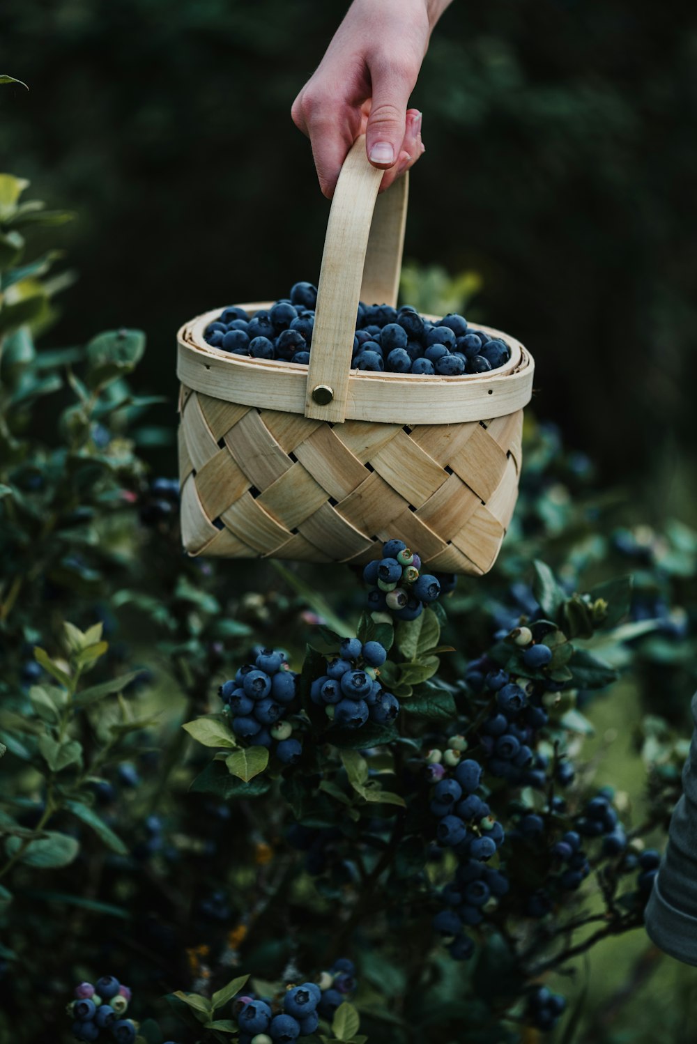 a hand holding a wooden spoon over a basket of blueberries