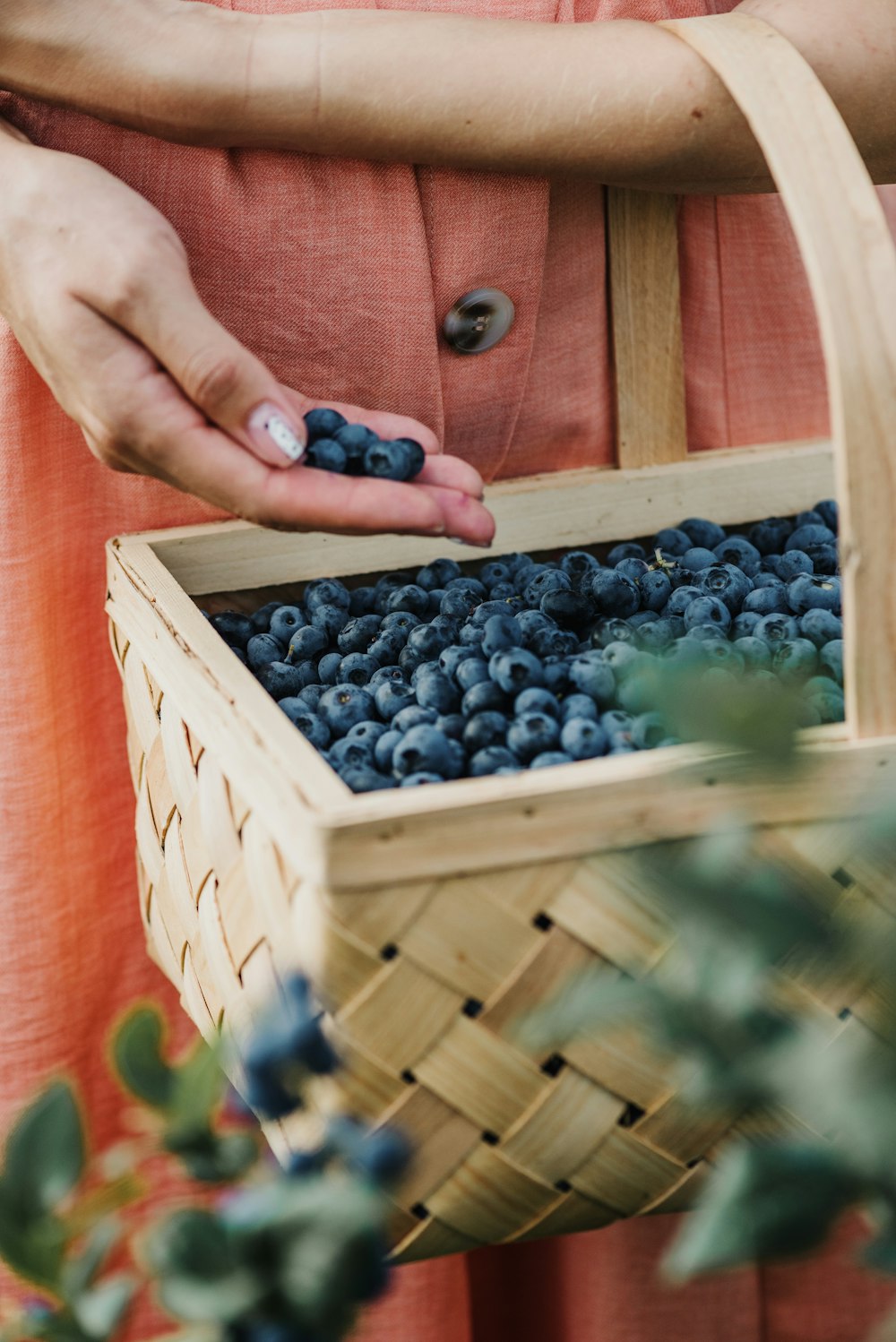 a person holding a box of blueberries