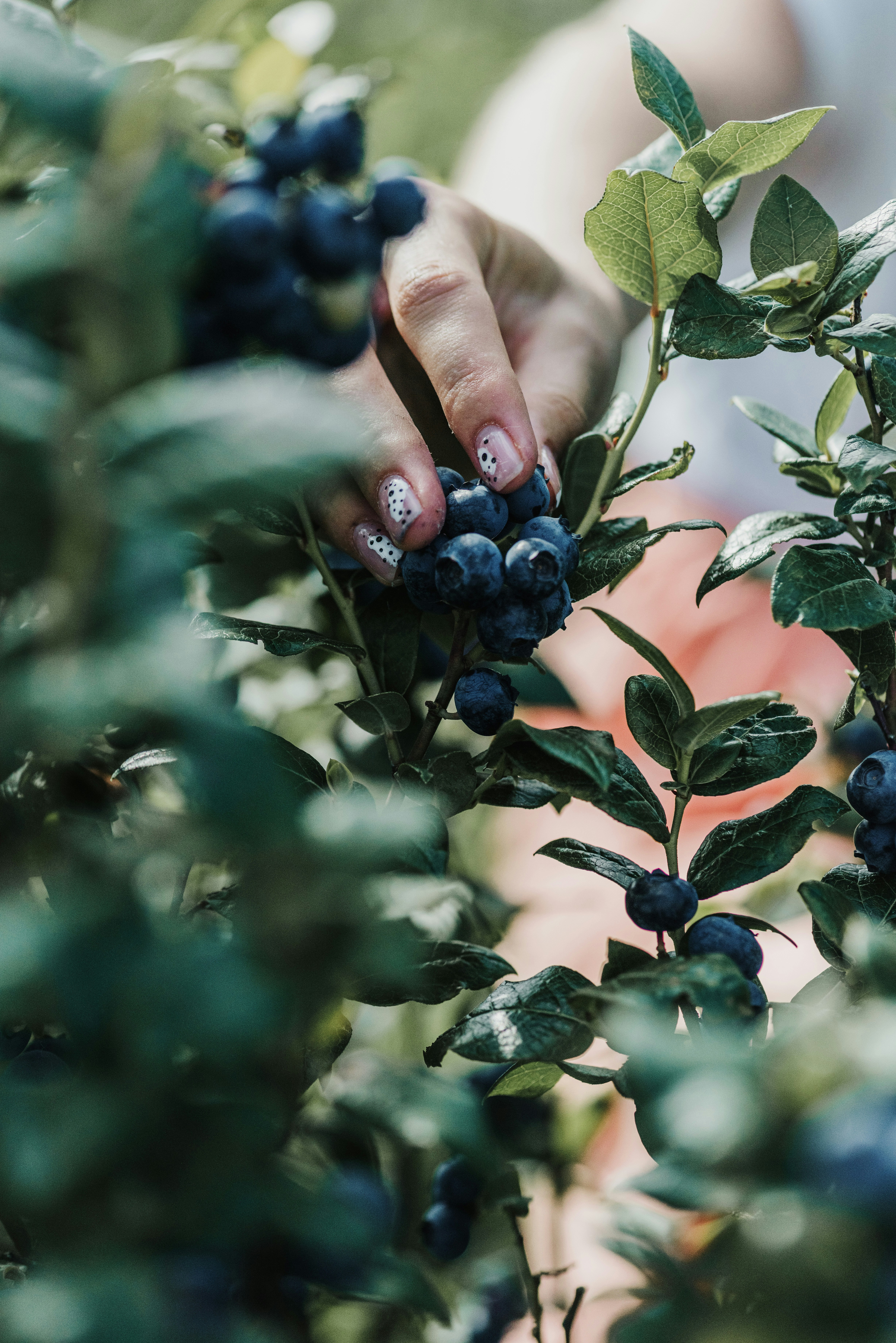 Photo by anitaaustvika